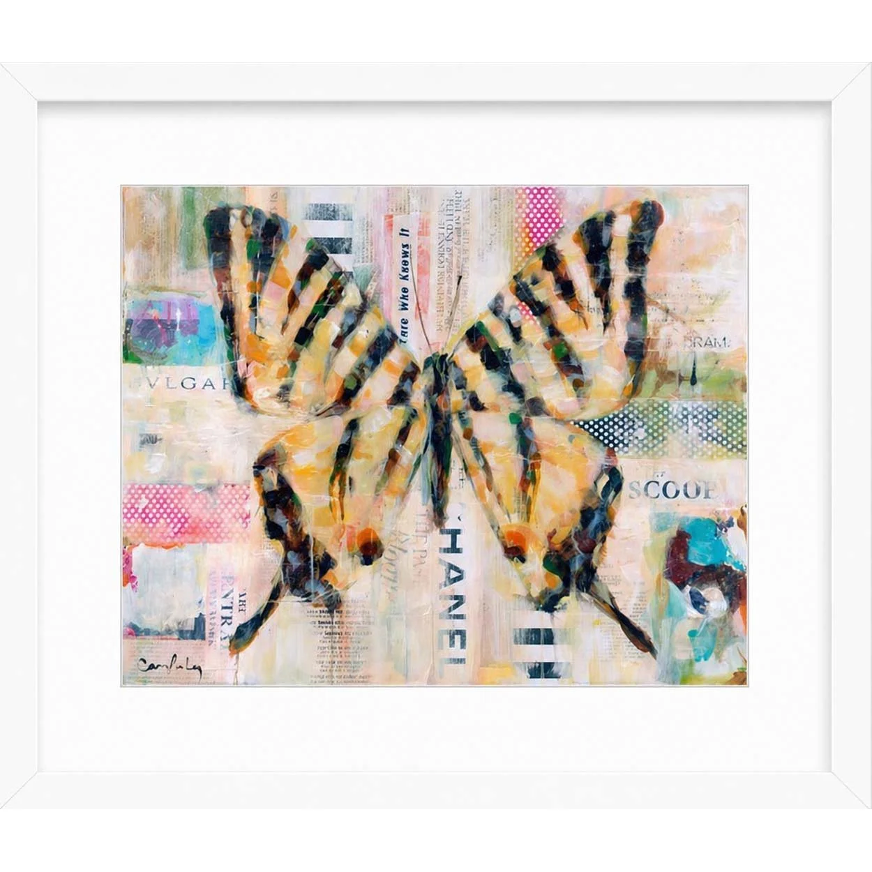 Image 4-25-26 at 12.45 PM.jpg