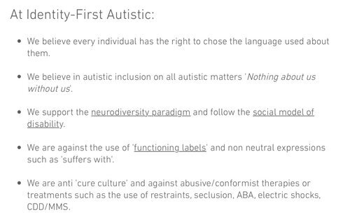  Screen Shot from the Identity-First Autistic Website 