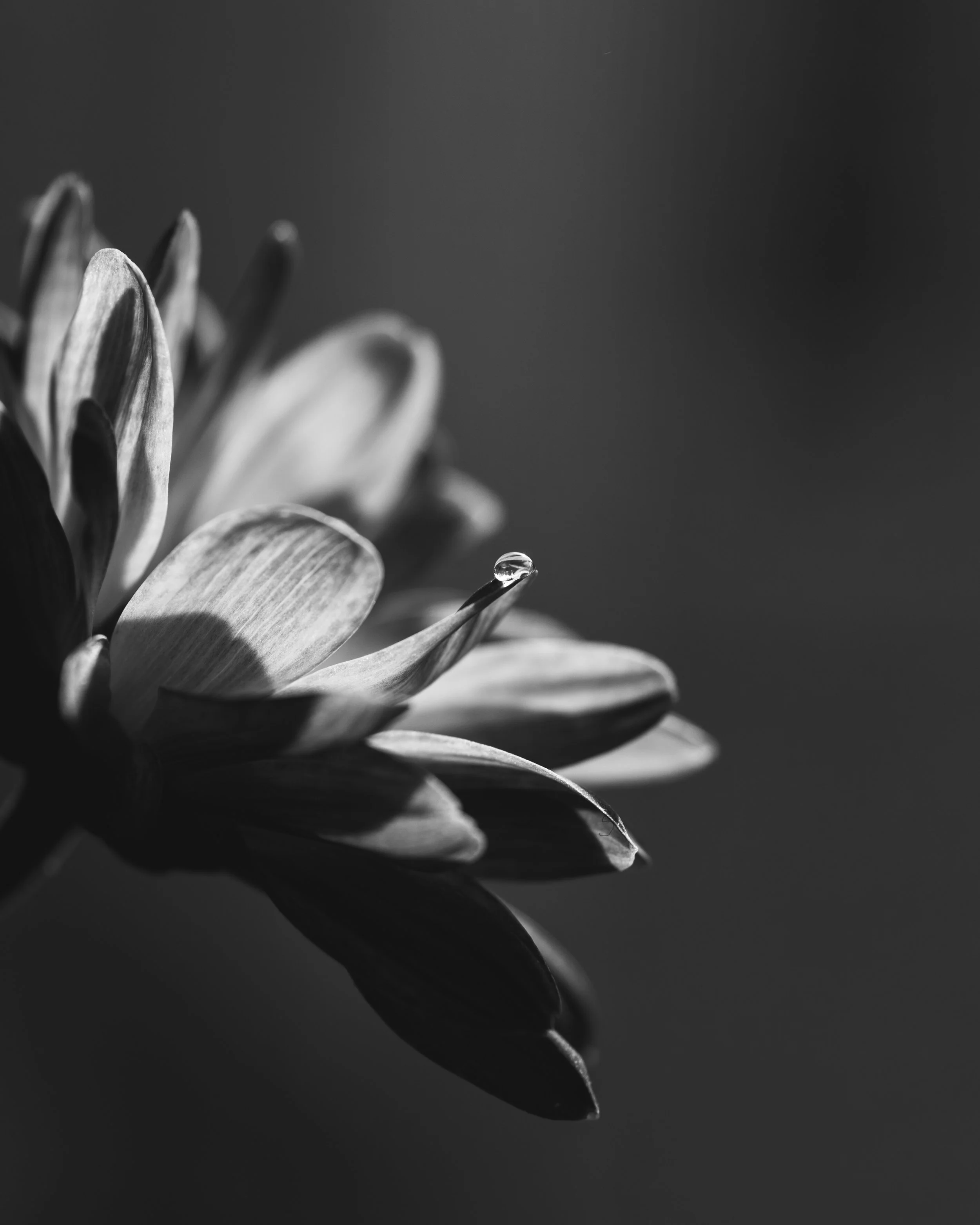 DSC_0006.jpg