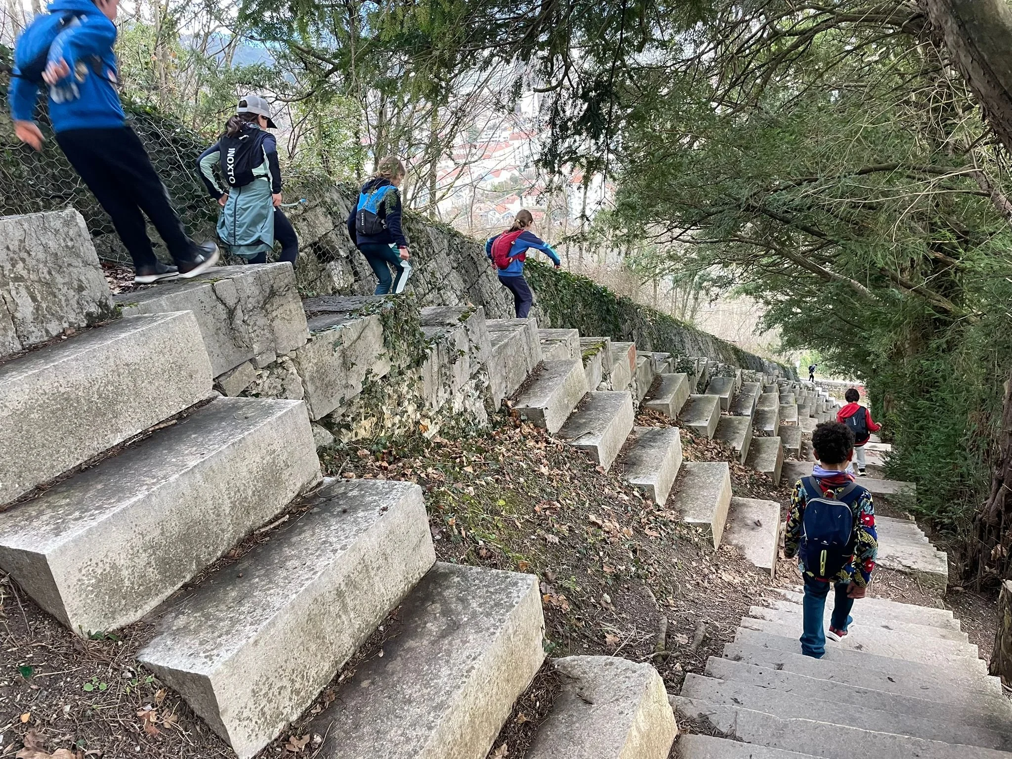 WhatsApp Image 2025-01-28 at 17.39.33.jpeg