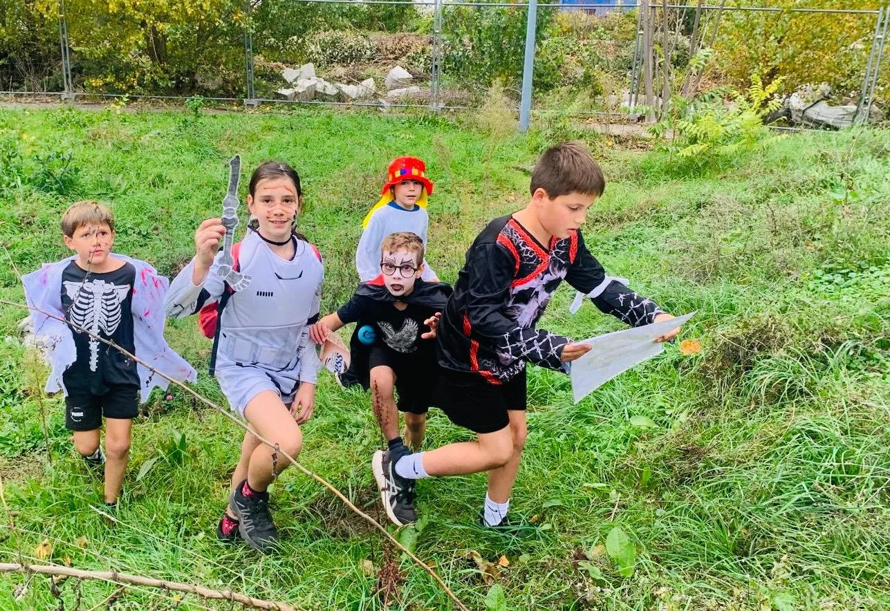 WhatsApp Image 2025-11-10 at 15.39.48.jpeg