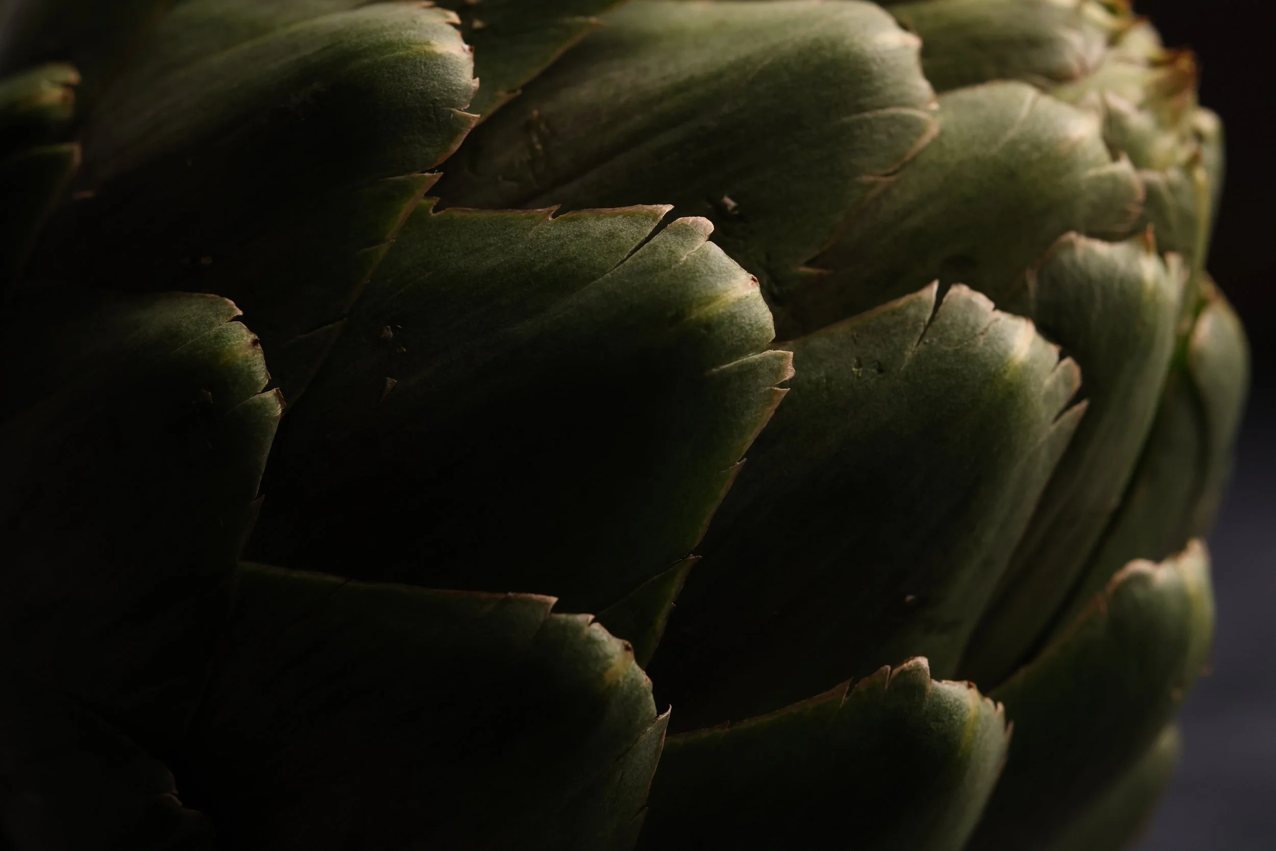 0D8A6336.JPG