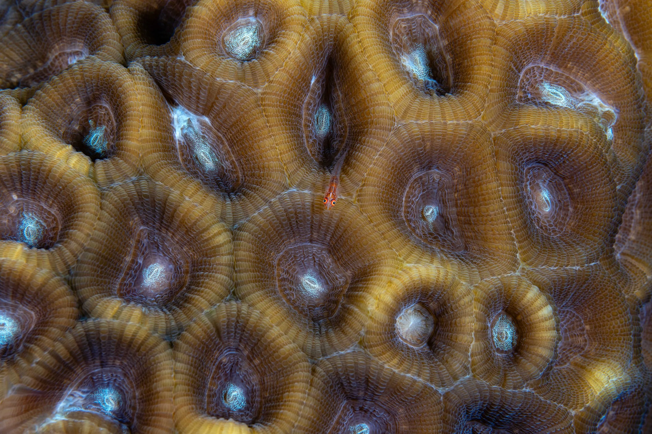 20260907_DSC07008-Edit_1.jpg