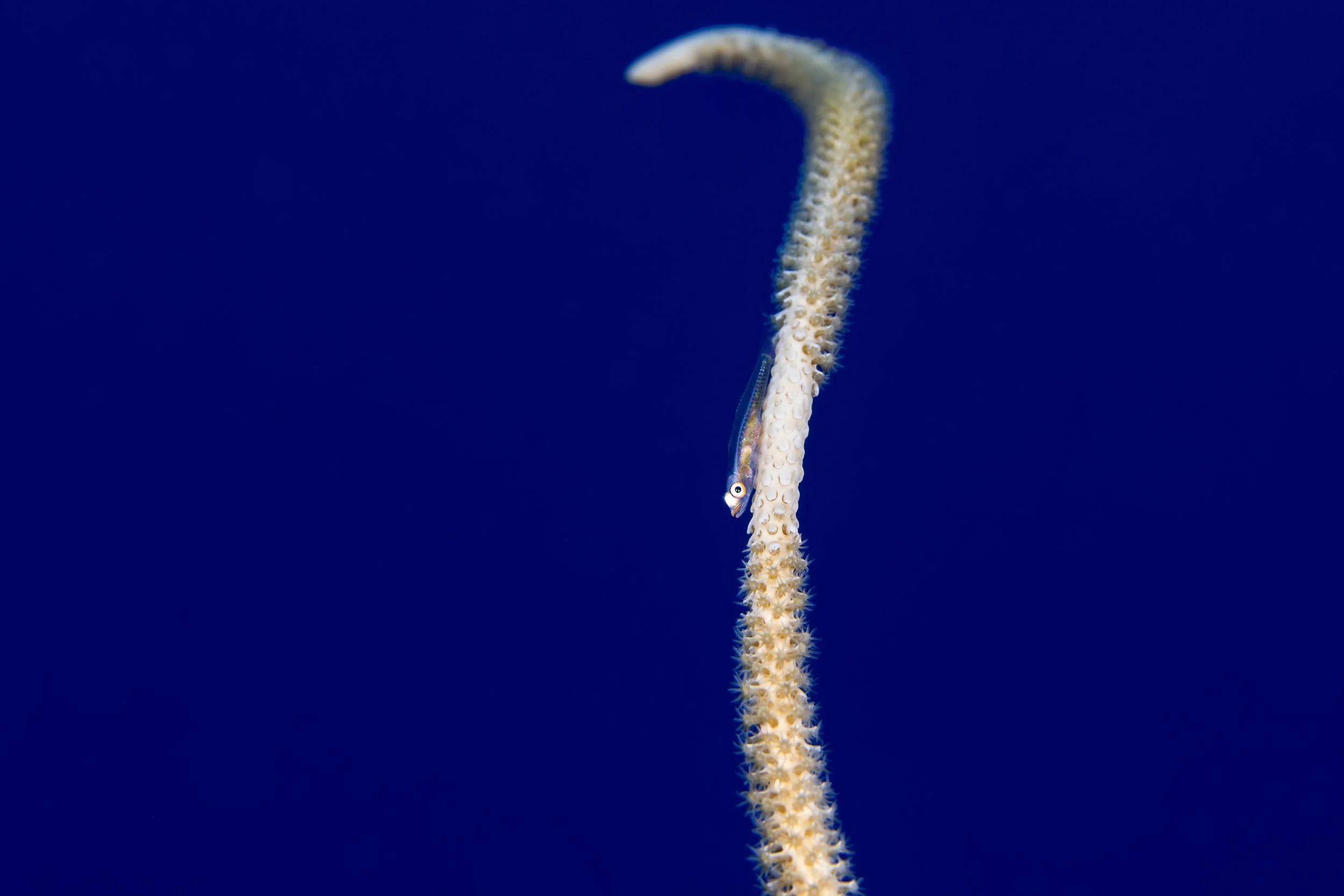 20260830_DSC05012-Edit.jpg