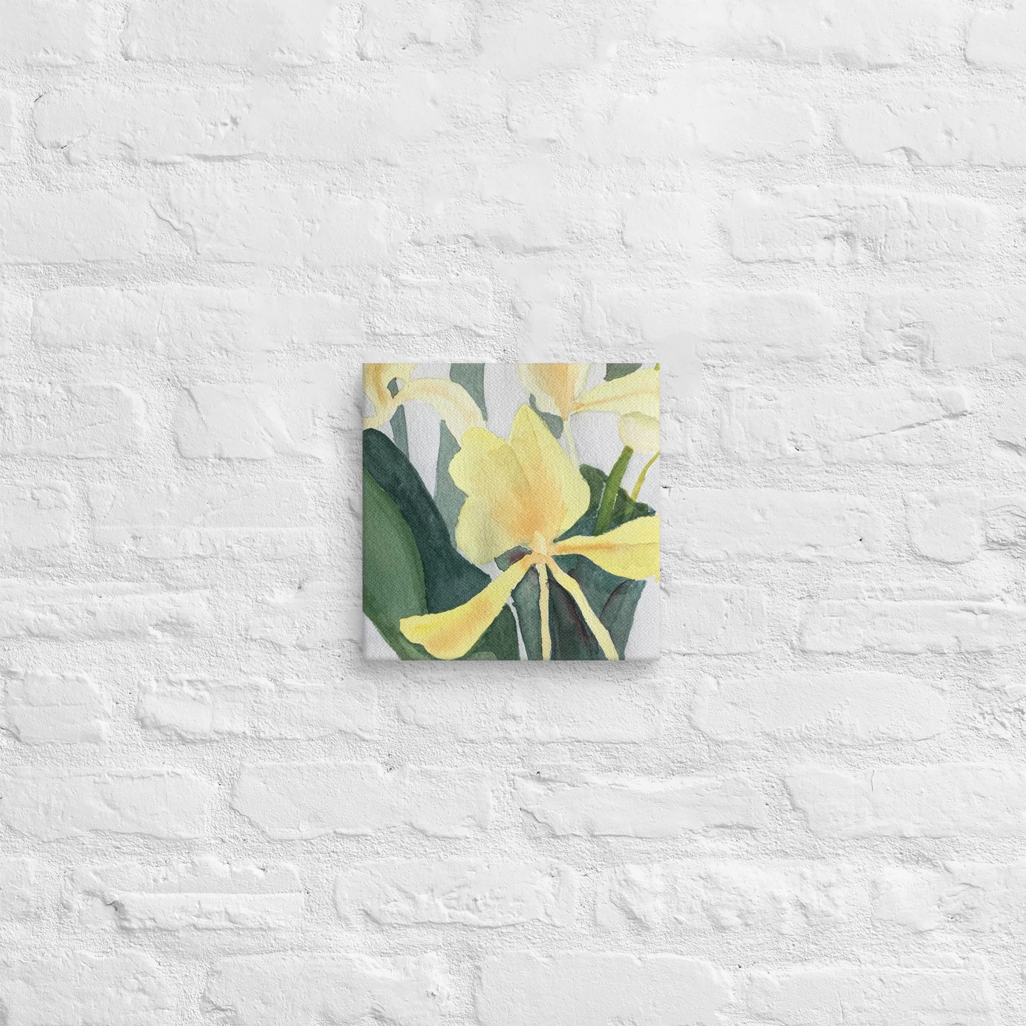 Yellow Ginger Lily Canvas Print