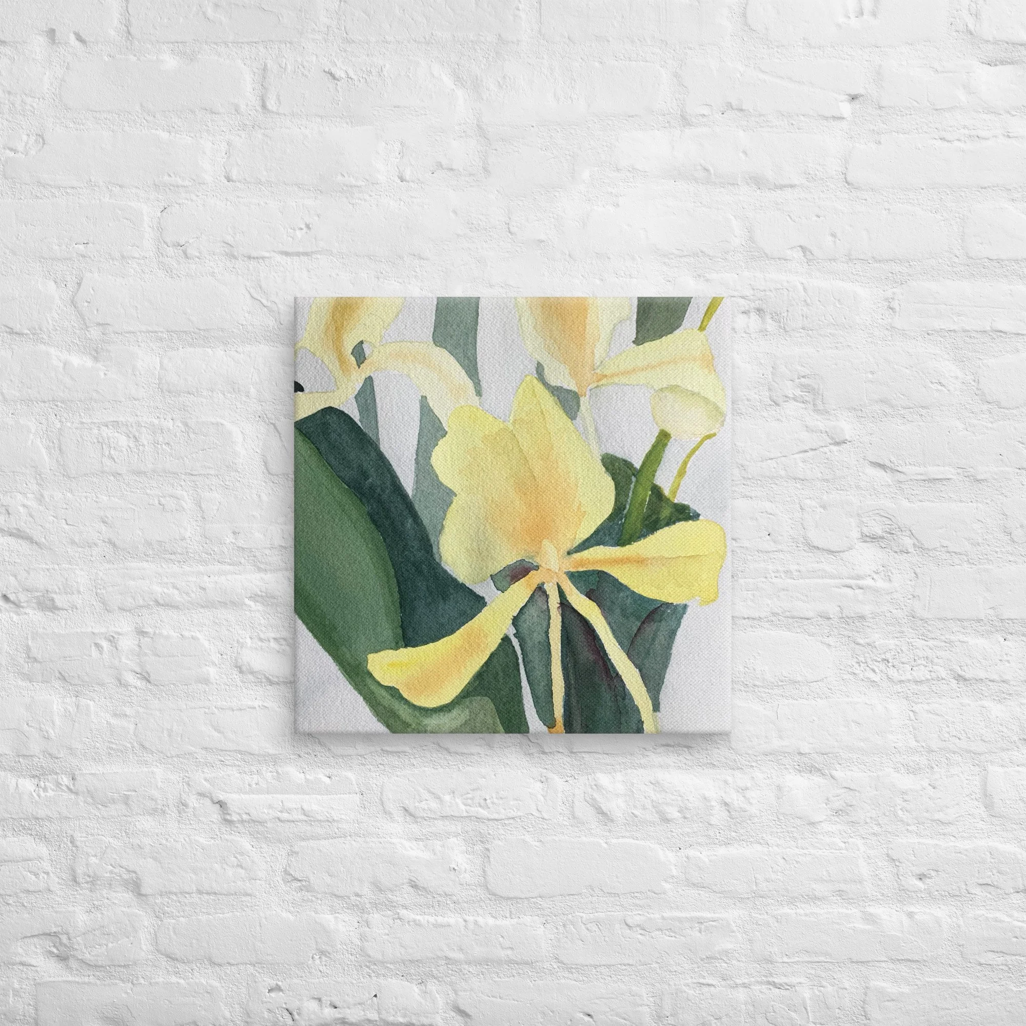Yellow Ginger Lily Canvas Print