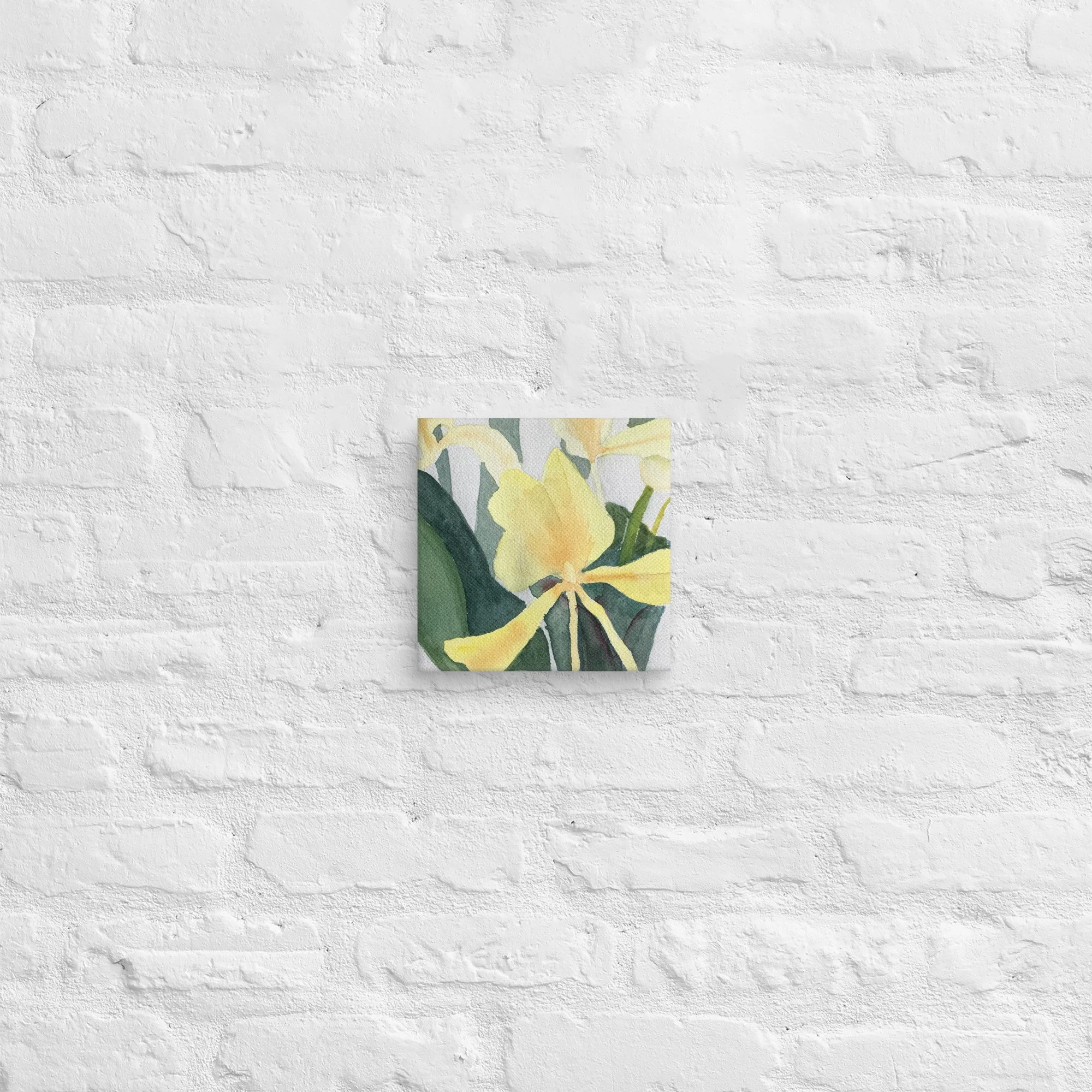 Yellow Ginger Lily Canvas Print