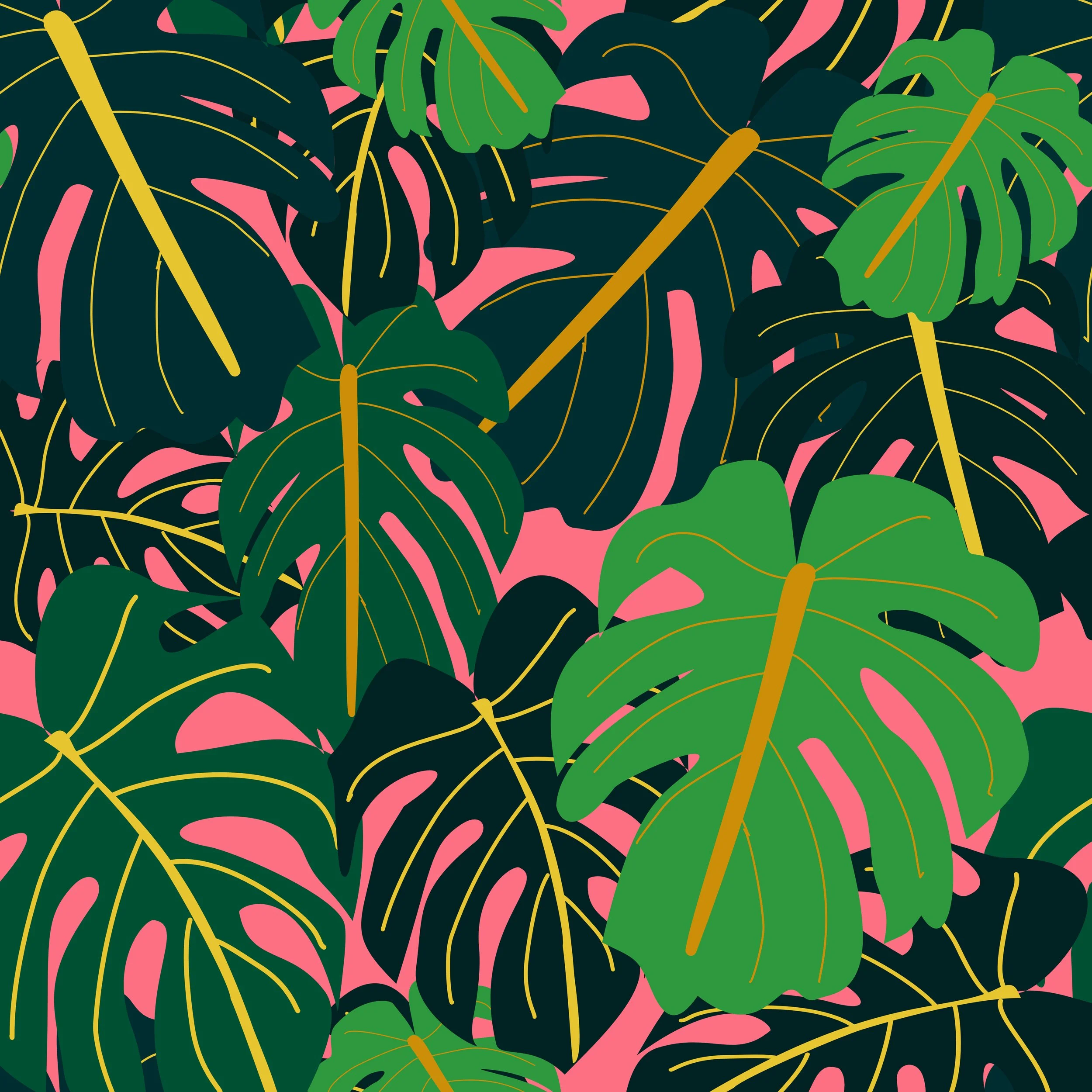 Morning Monstera.jpg