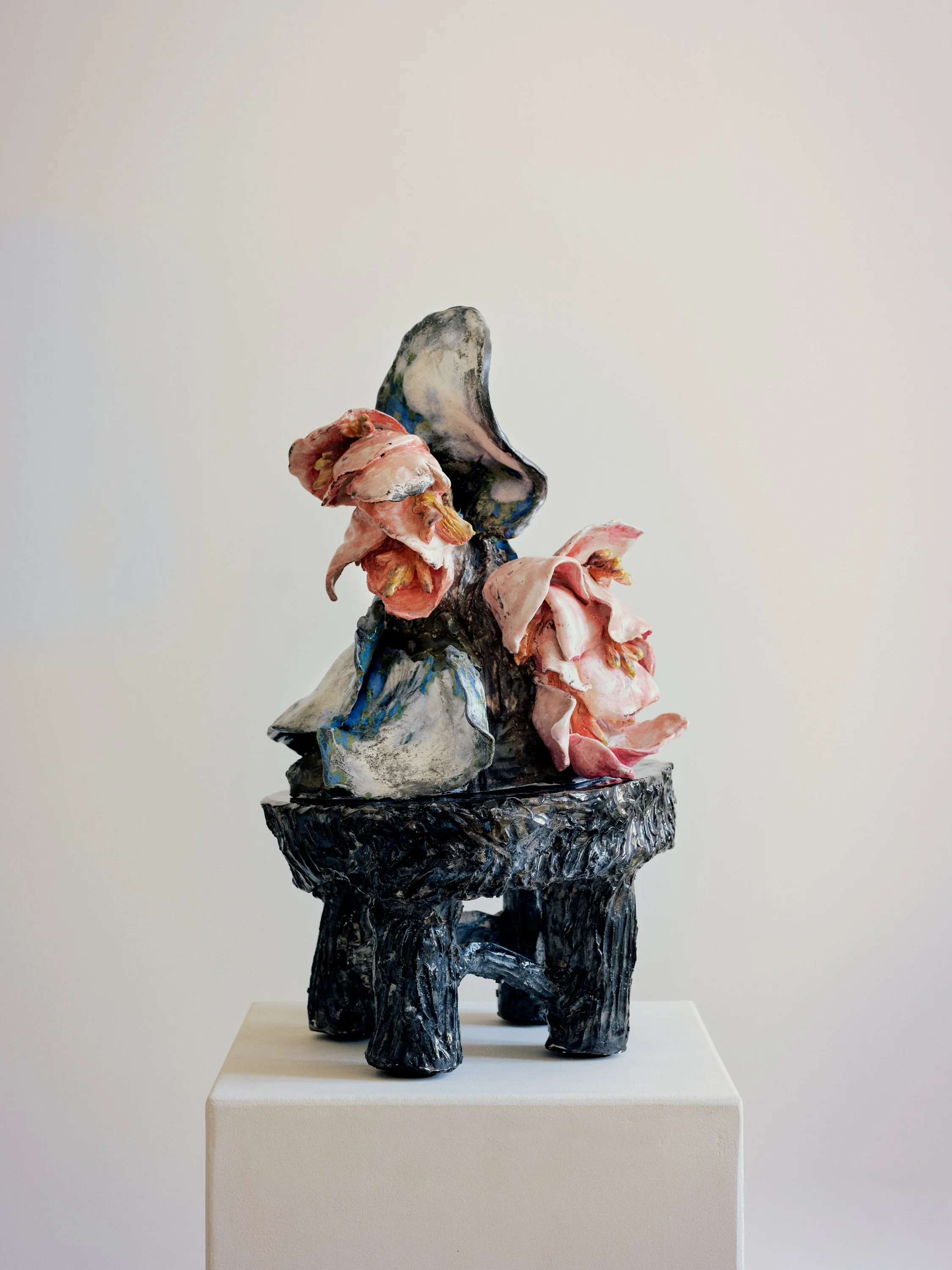 MÉDINILLA II  |  Corinne Marchetti