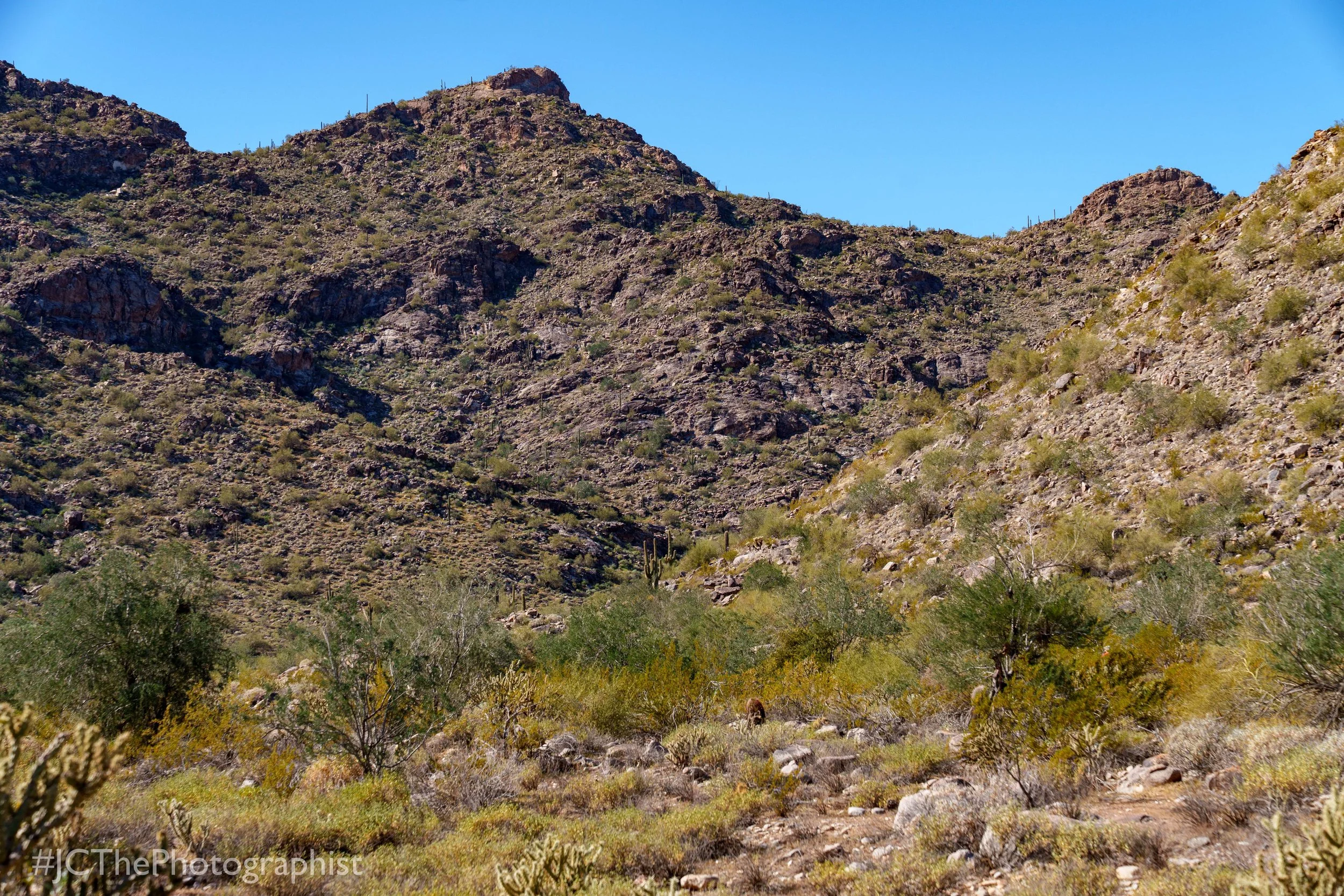 White Tanks Hike-101.jpg