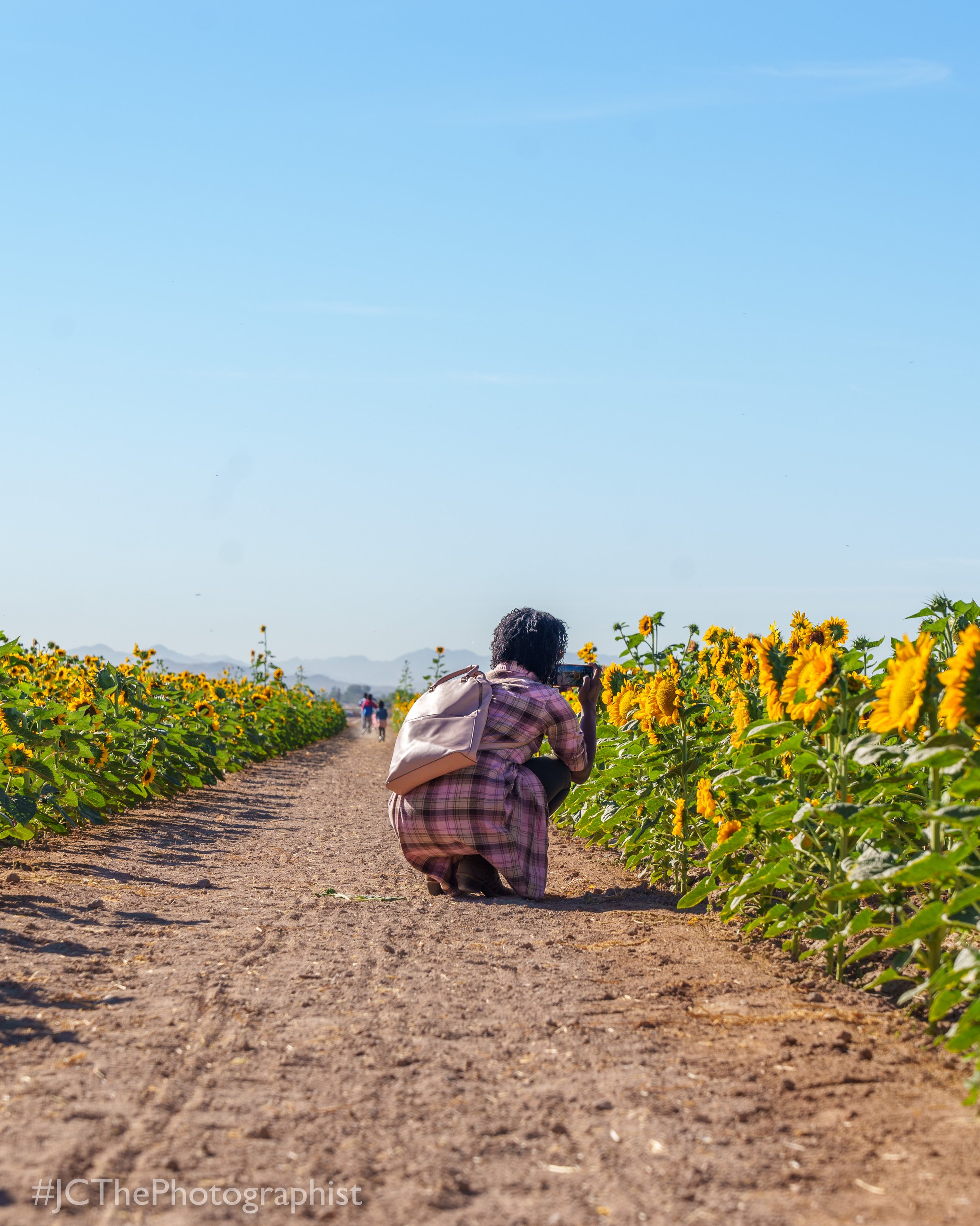 Sunflower Farm-106.jpg