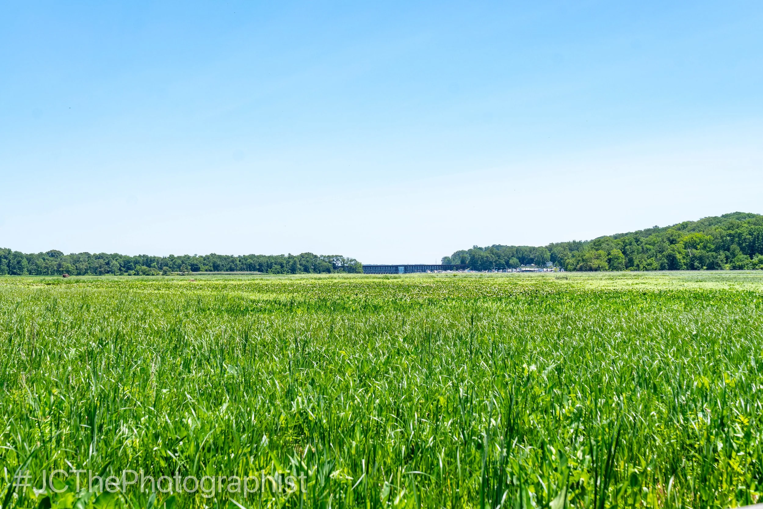 Neabsco Boardwalk-114.jpg
