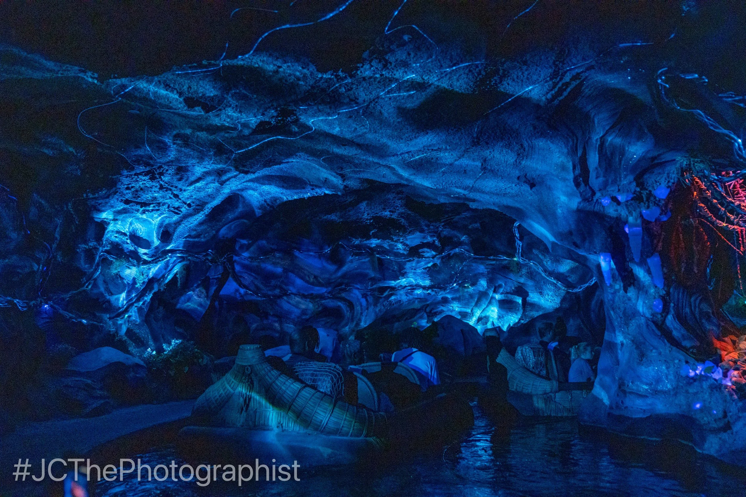 Animal Kingdom-124.jpg