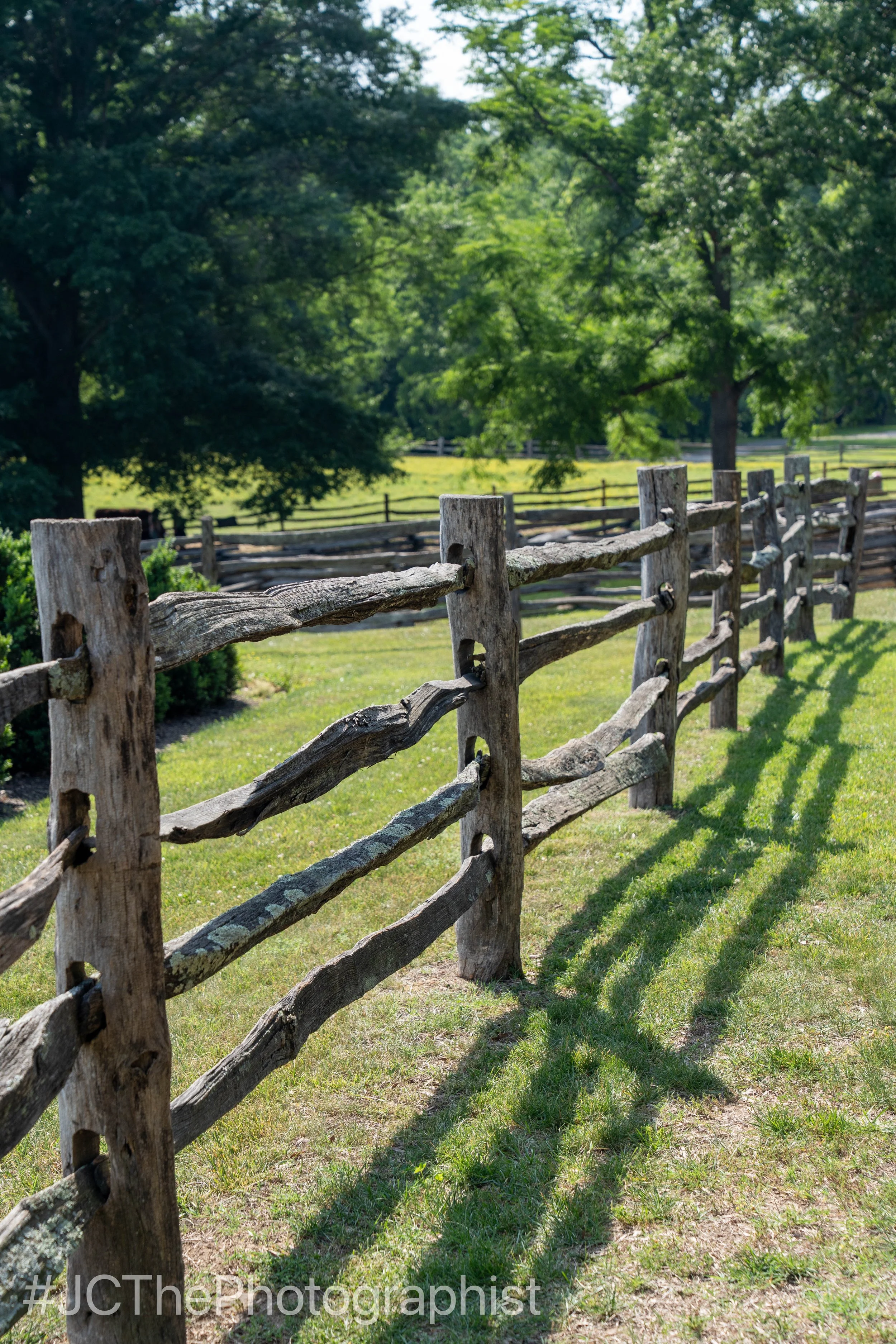 Mount Vernon-203.jpg