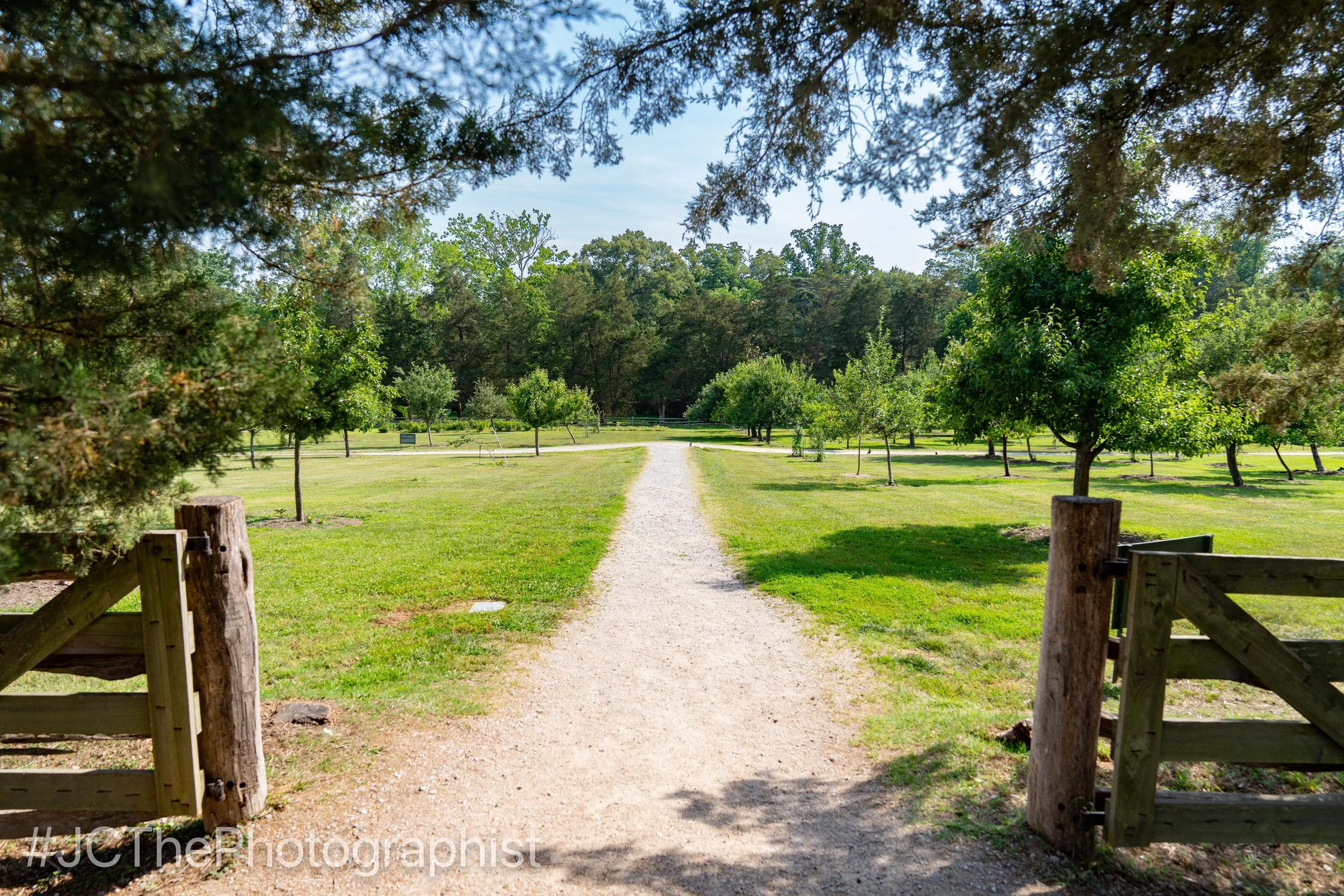 Mount Vernon-197.jpg