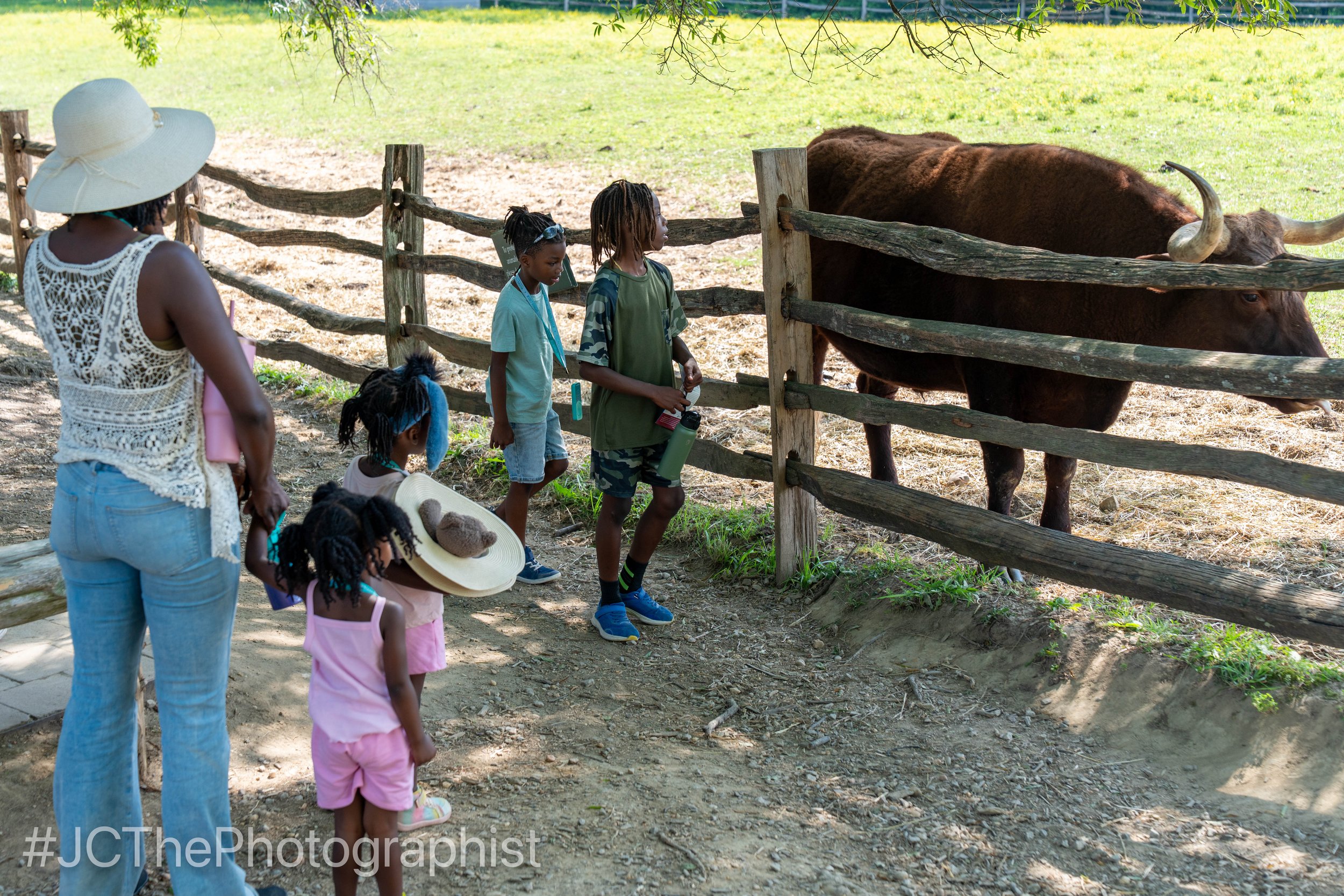 Mount Vernon-204.jpg