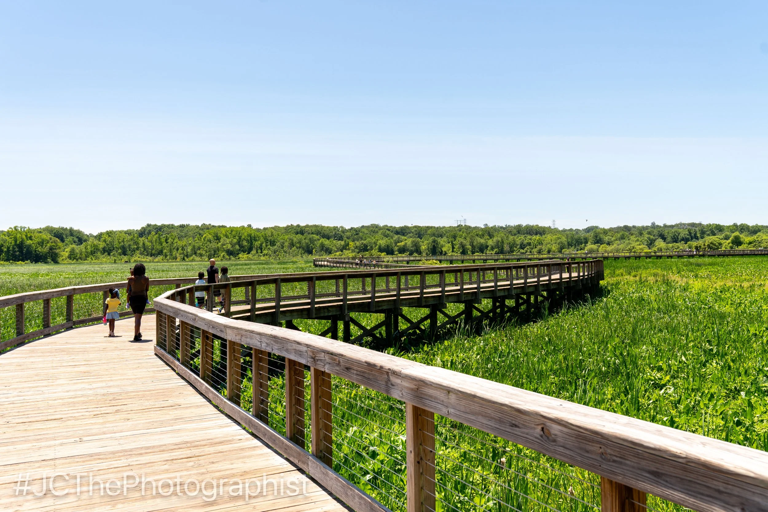 Neabsco Boardwalk-109.jpg