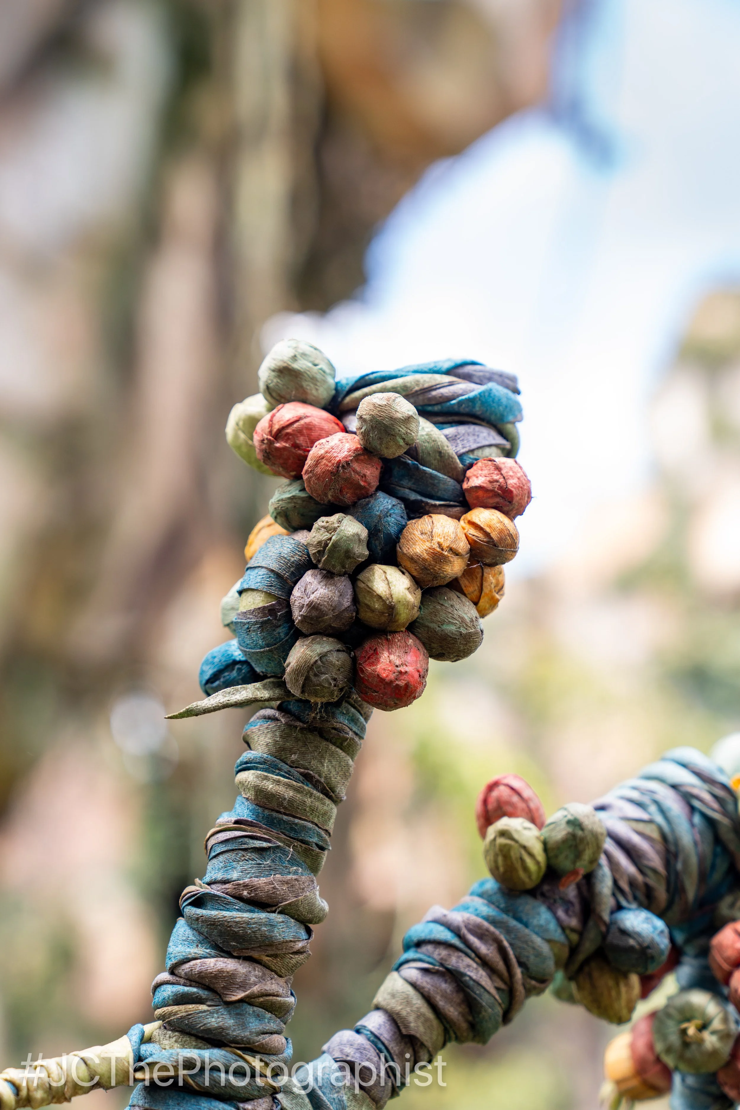 Animal Kingdom-106.jpg
