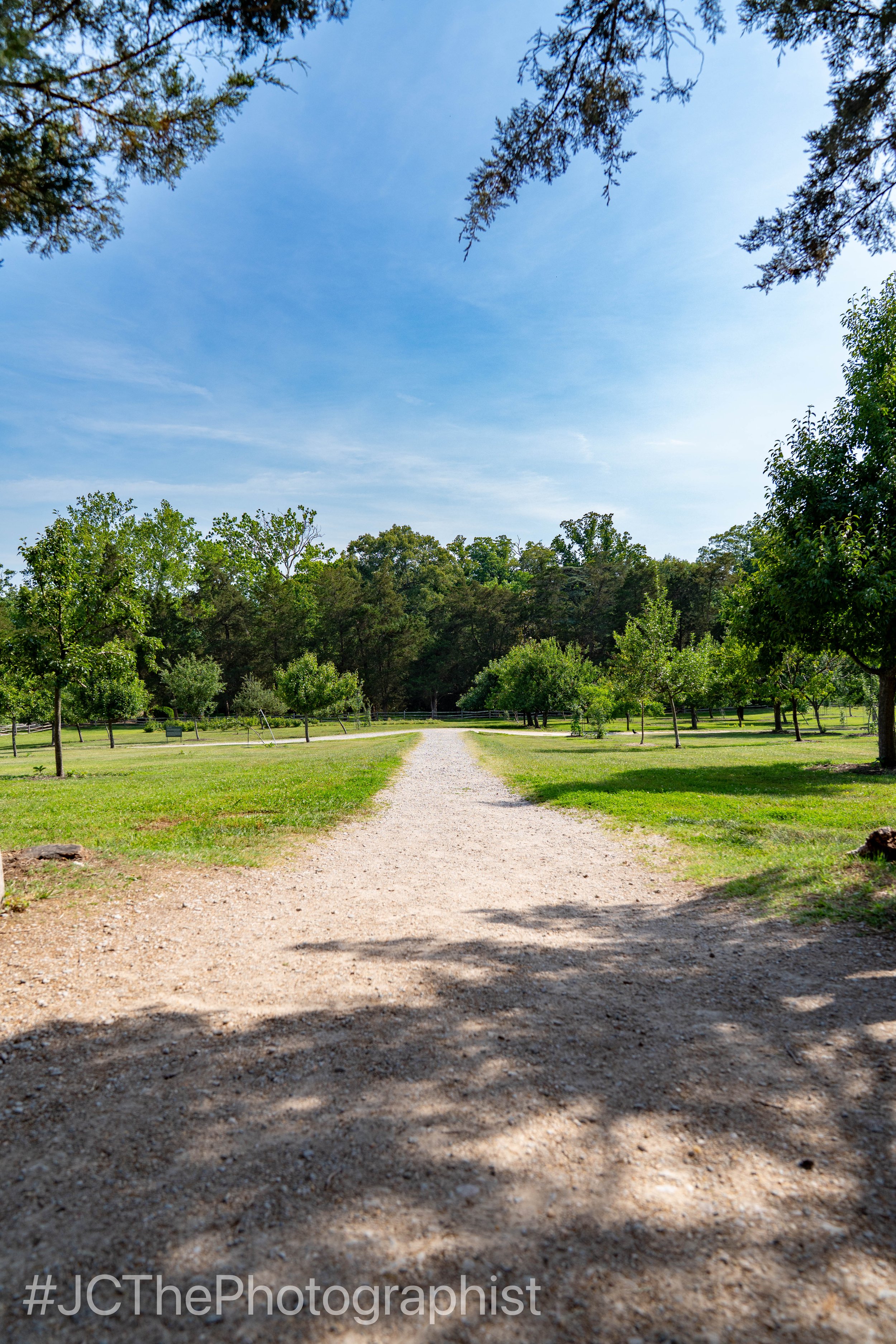 Mount Vernon-198.jpg