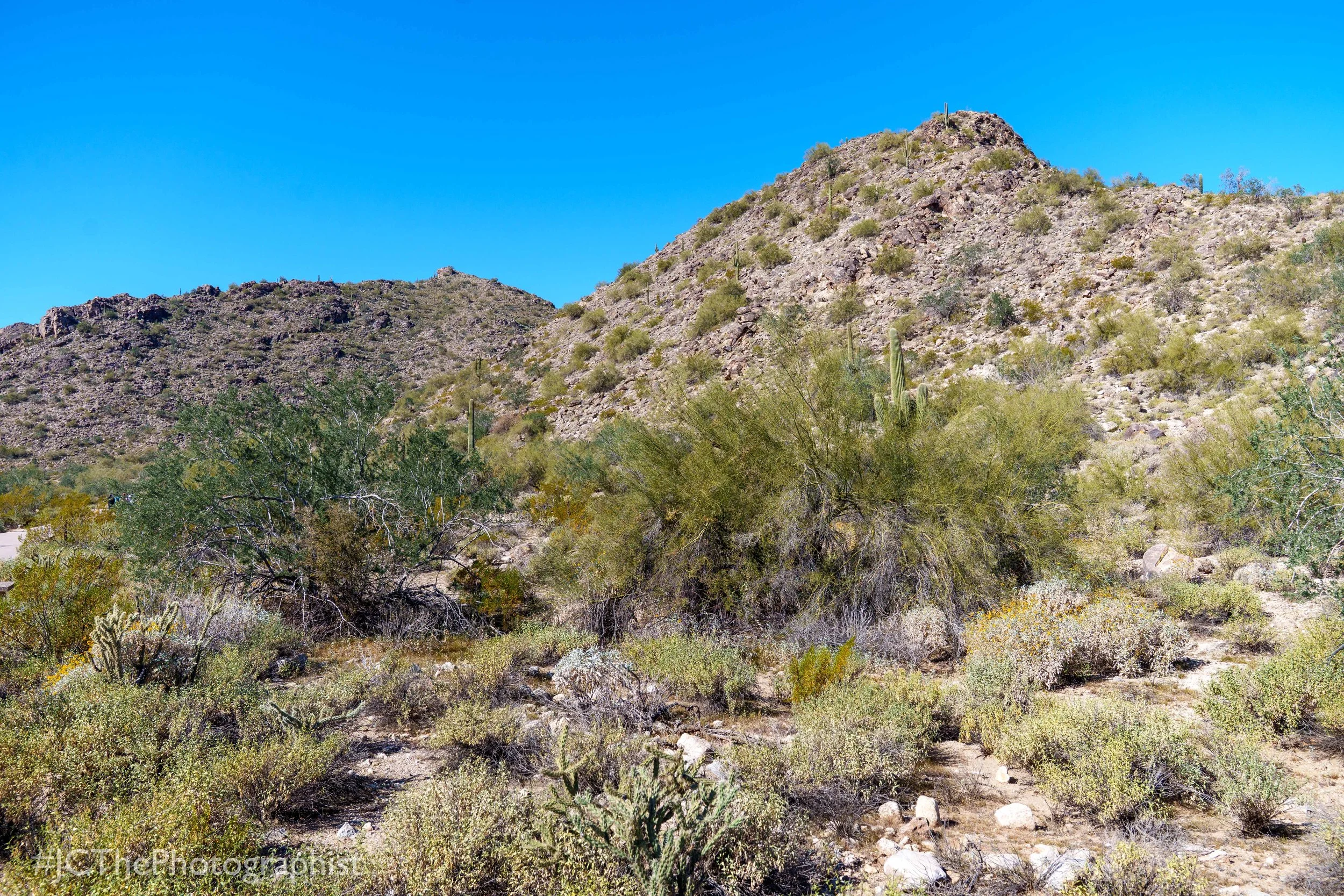 White Tanks Hike-100.jpg