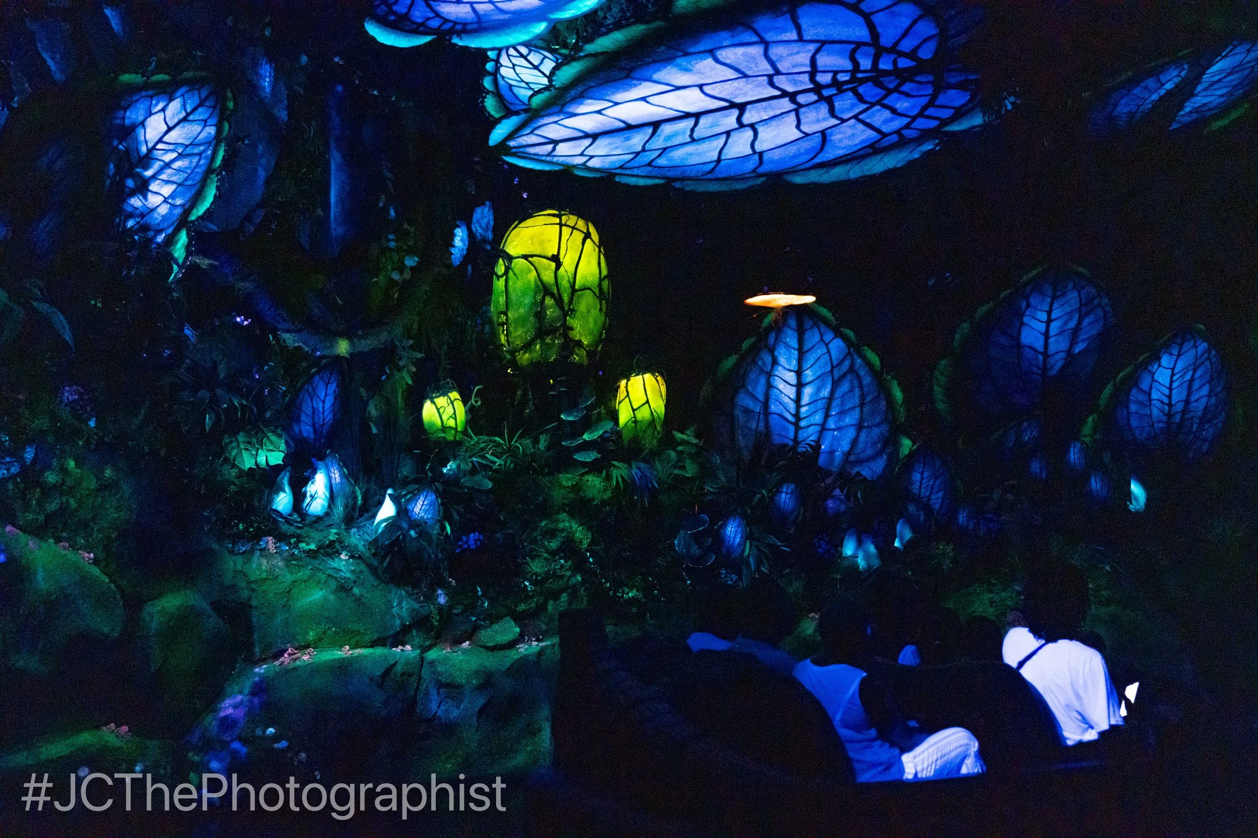 Animal Kingdom-113.jpg