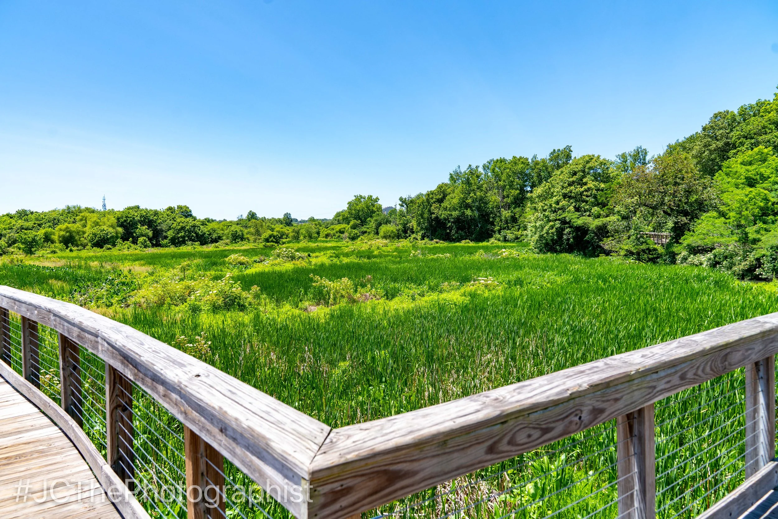 Neabsco Boardwalk-120.jpg
