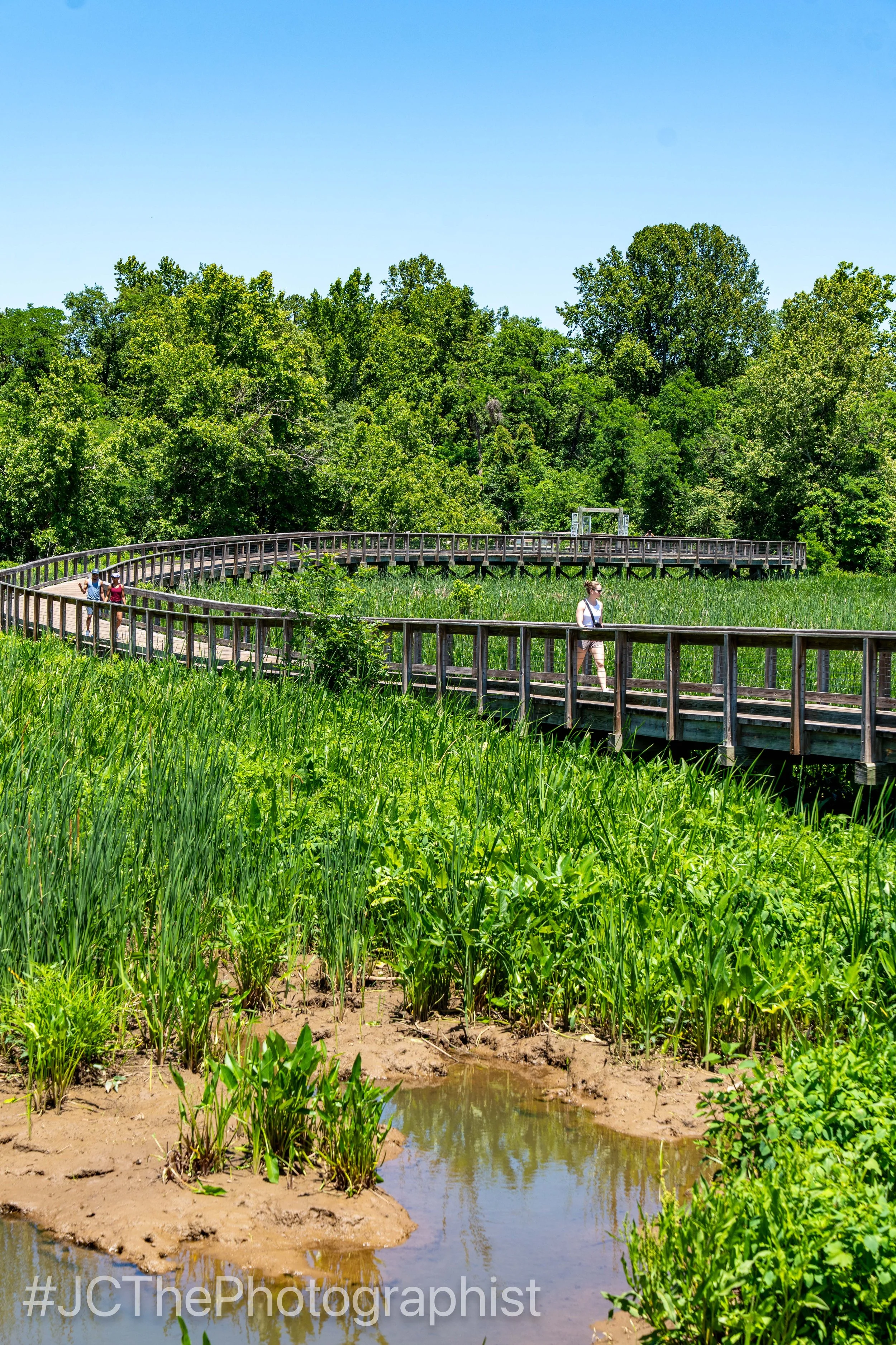 Neabsco Boardwalk-115.jpg