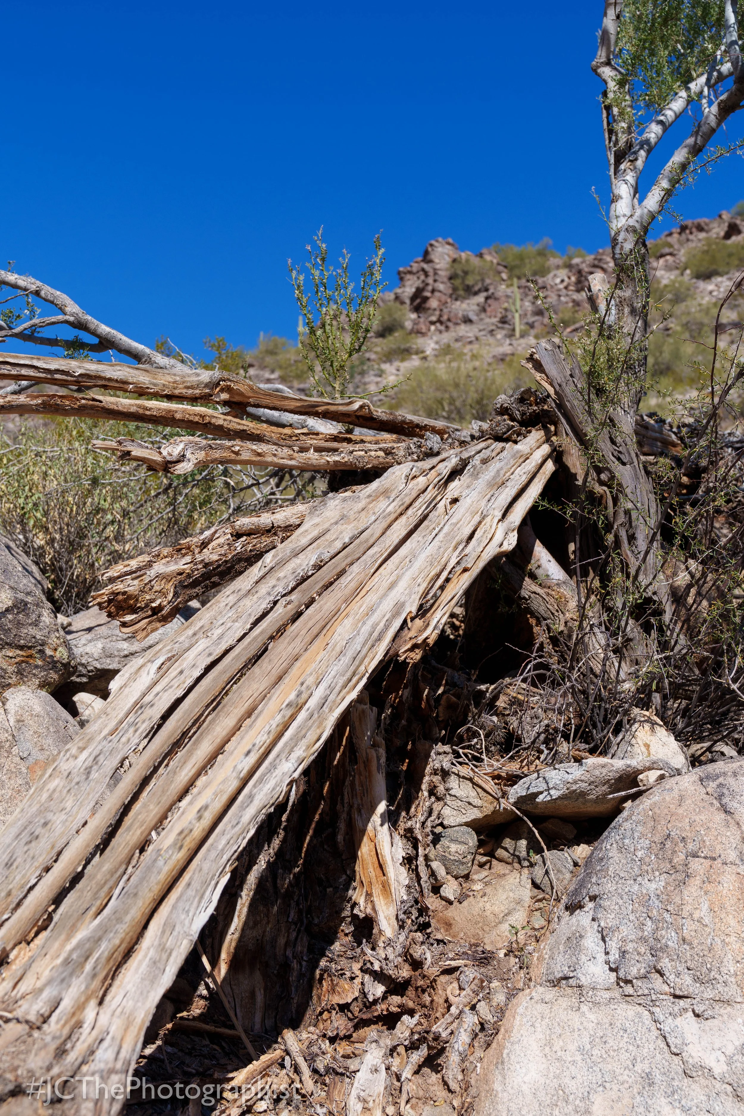 White Tanks Hike-107.jpg