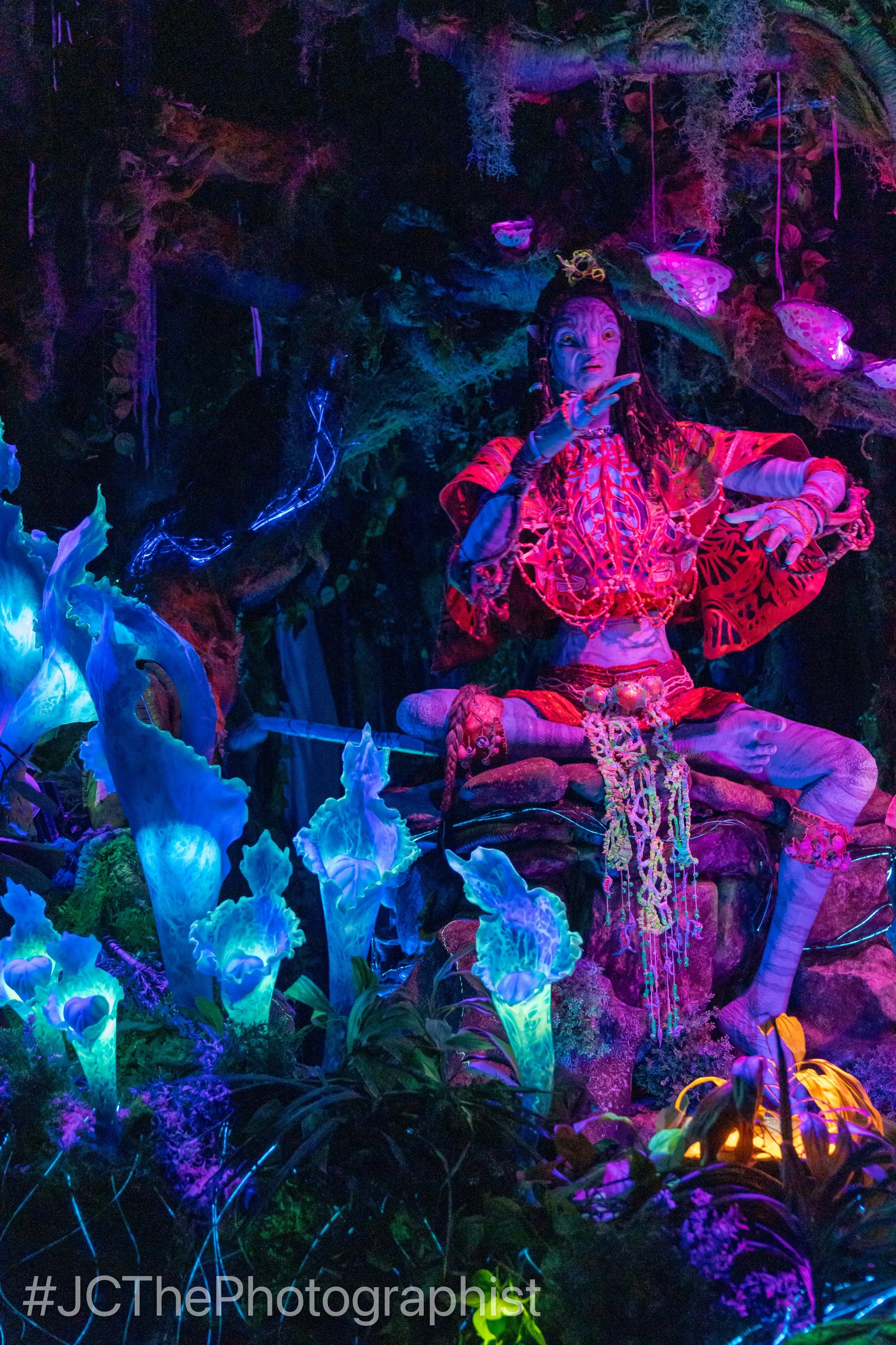 Animal Kingdom-121.jpg