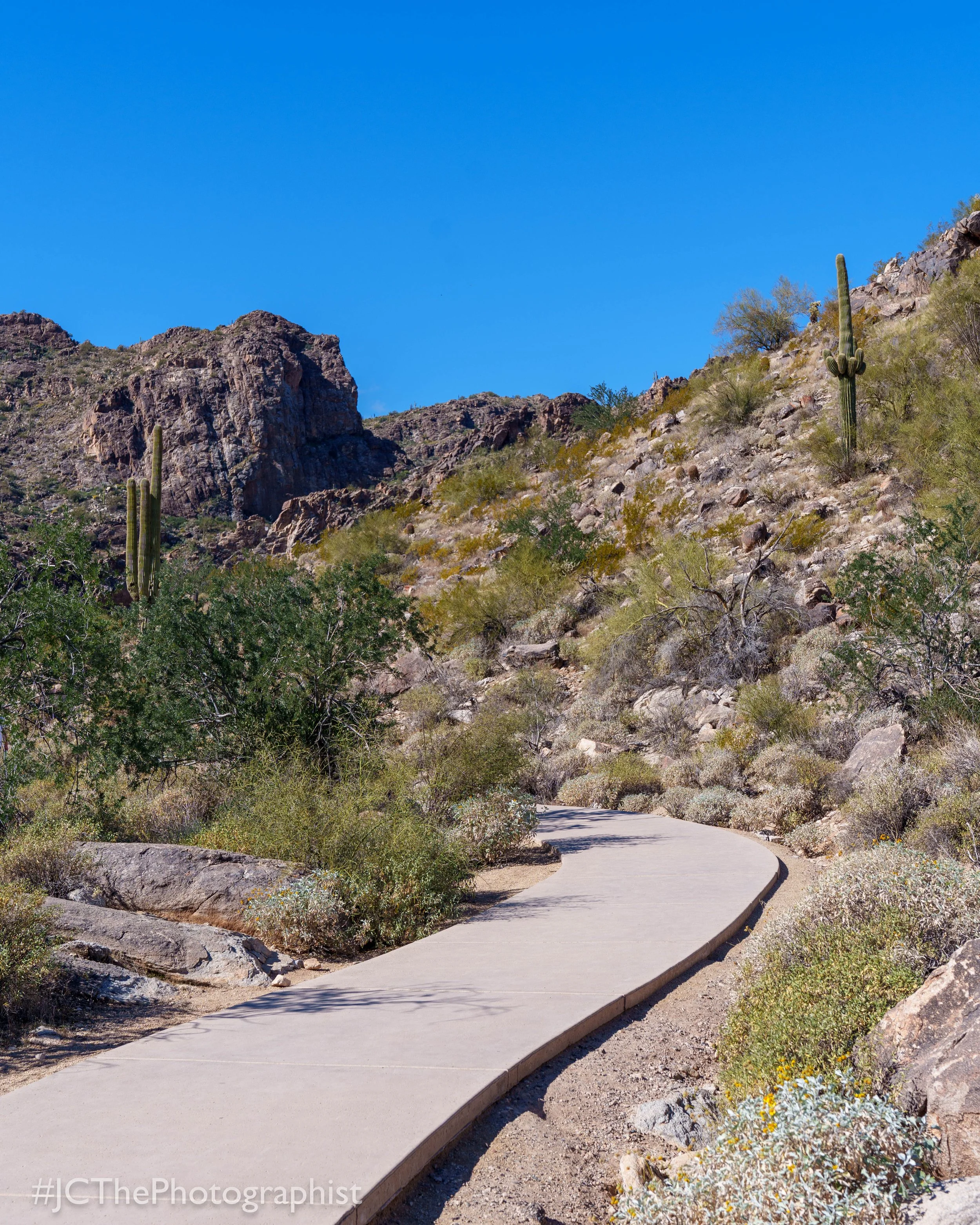 White Tanks Hike-104.jpg