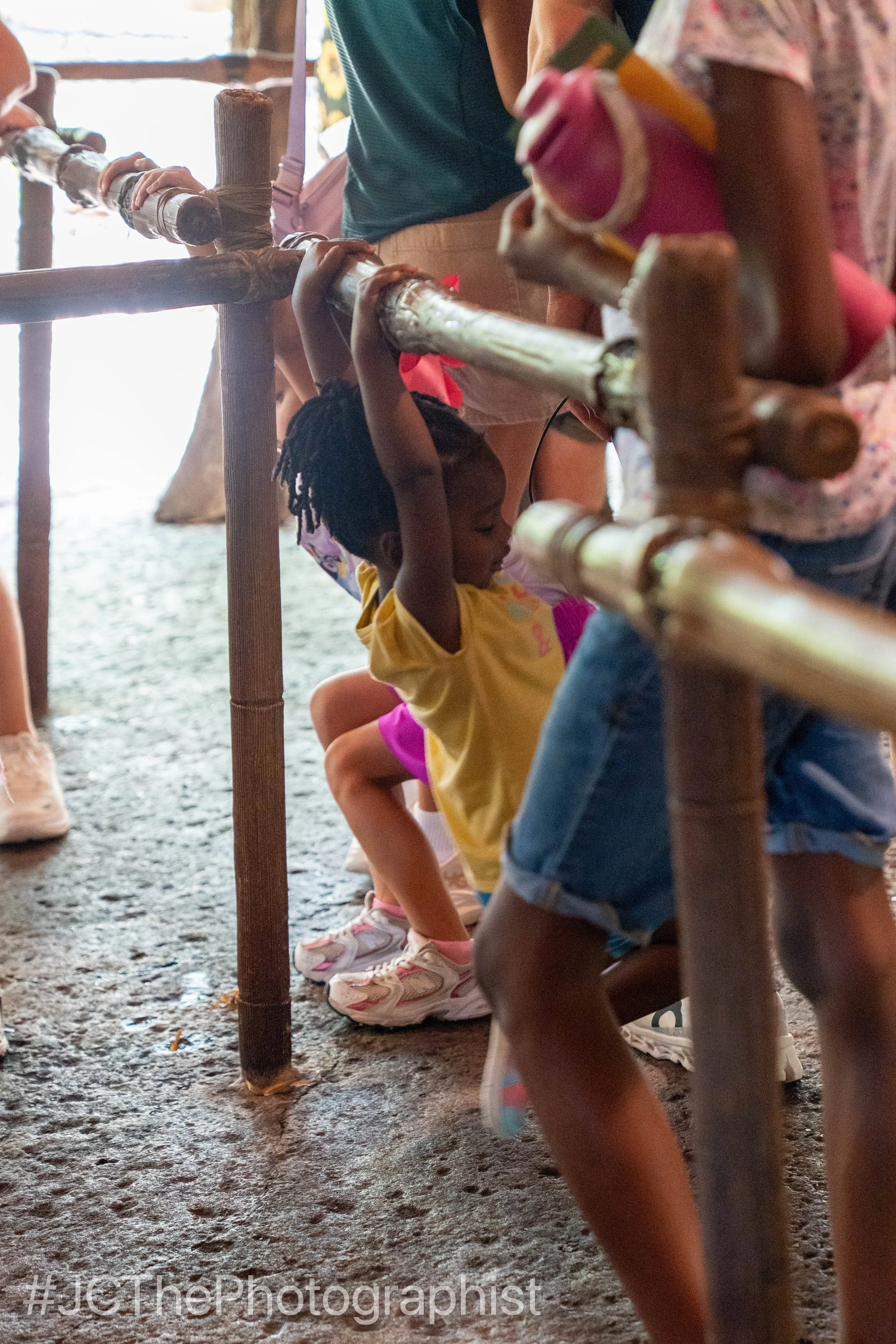 Animal Kingdom-109.jpg