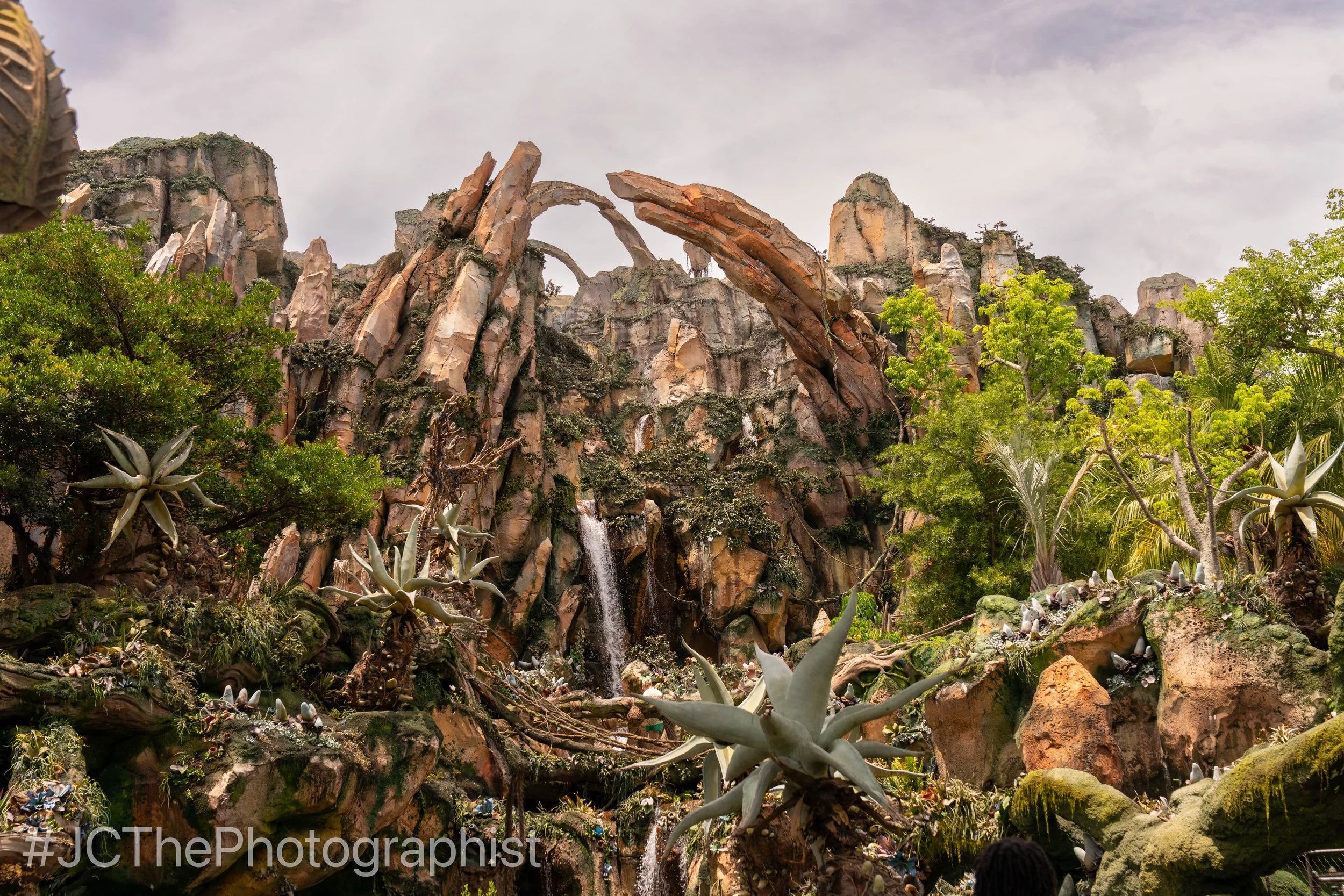 Animal Kingdom-130.jpg
