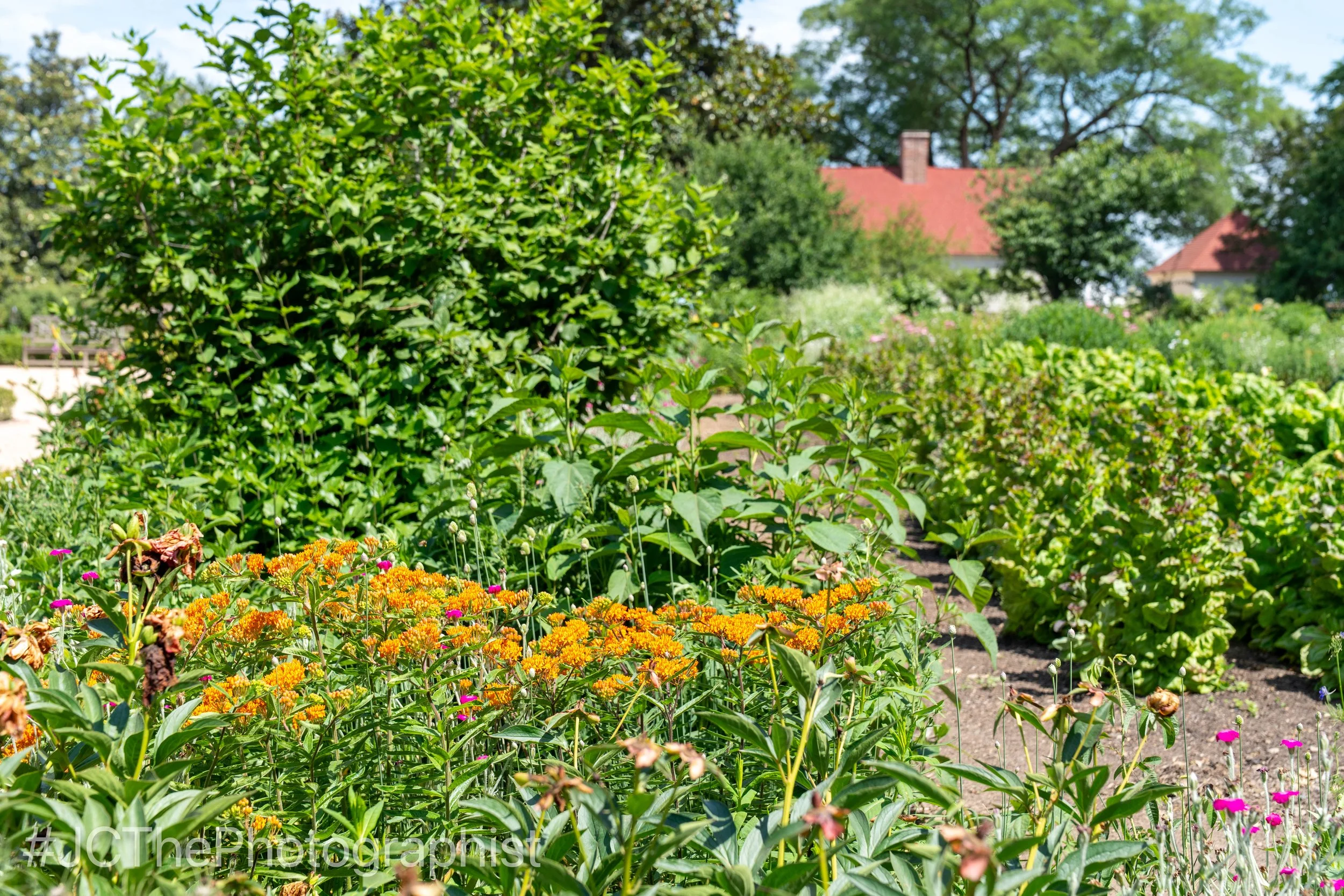 Mount Vernon-144.jpg