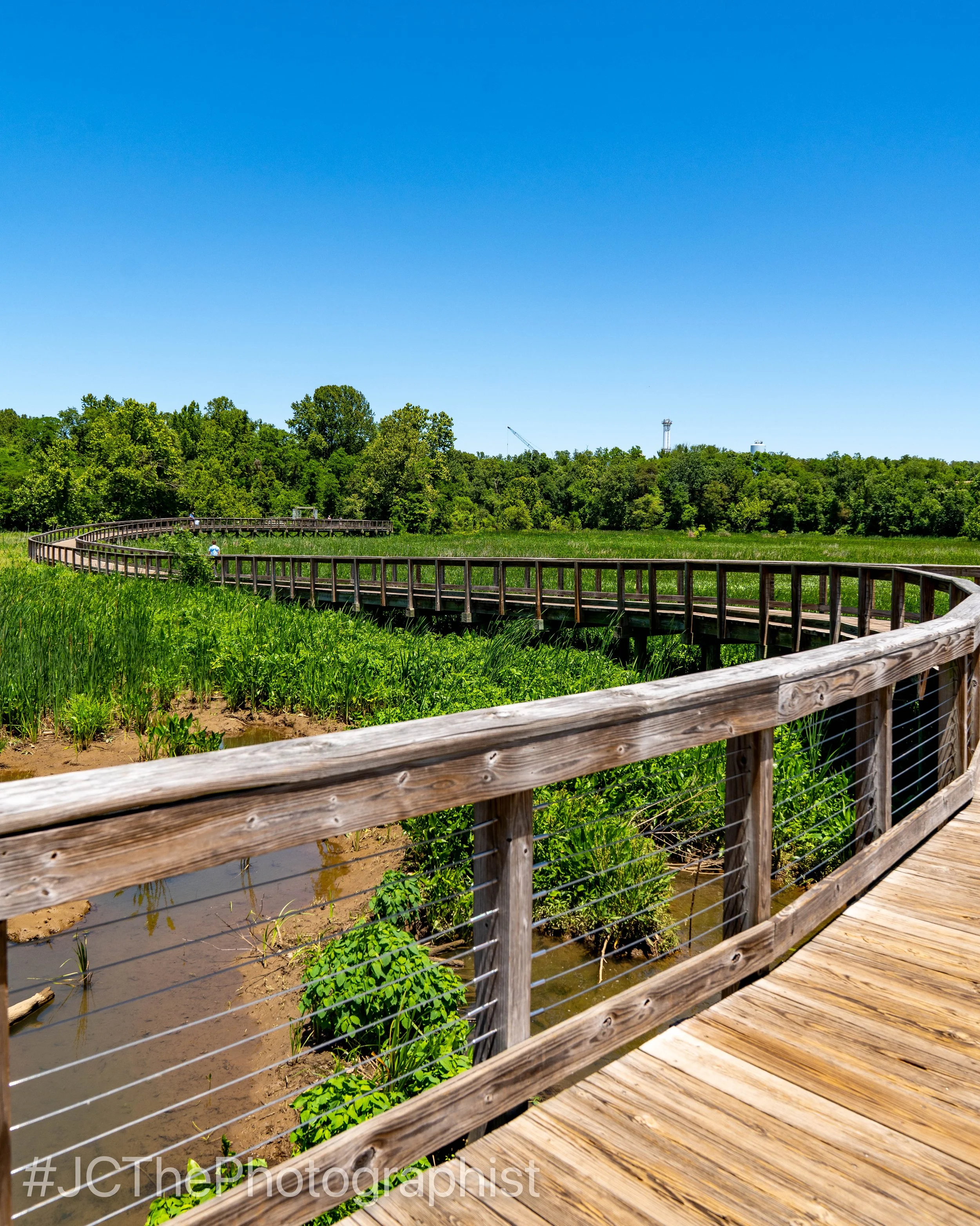 Neabsco Boardwalk-119.jpg