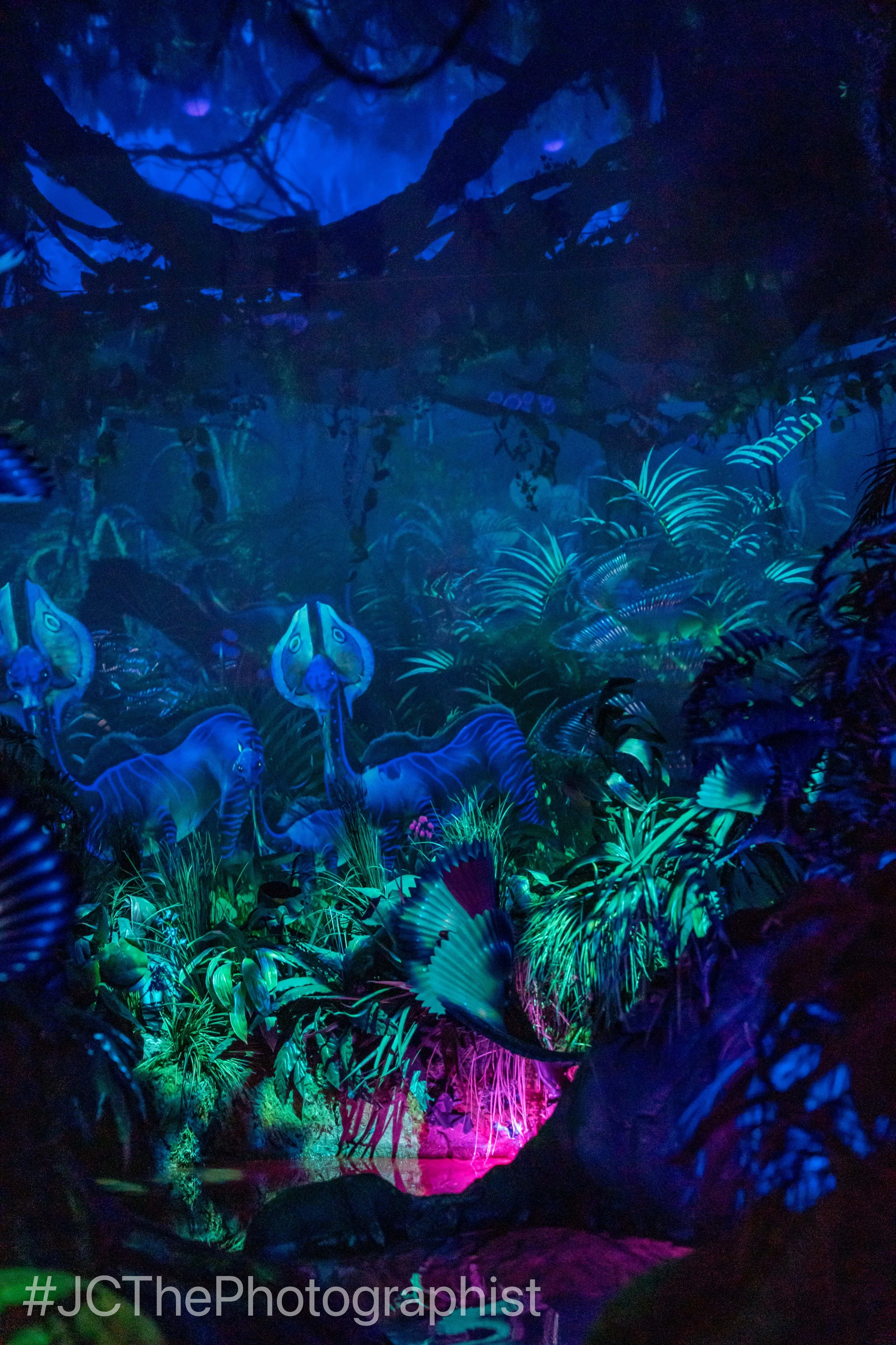 Animal Kingdom-116.jpg