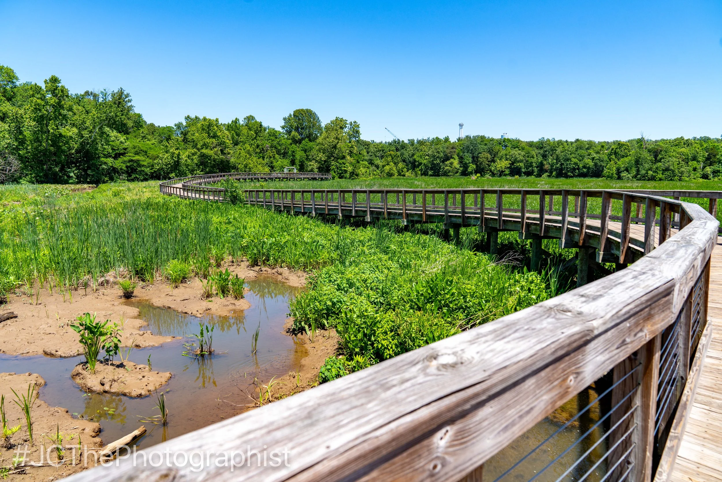 Neabsco Boardwalk-117.jpg