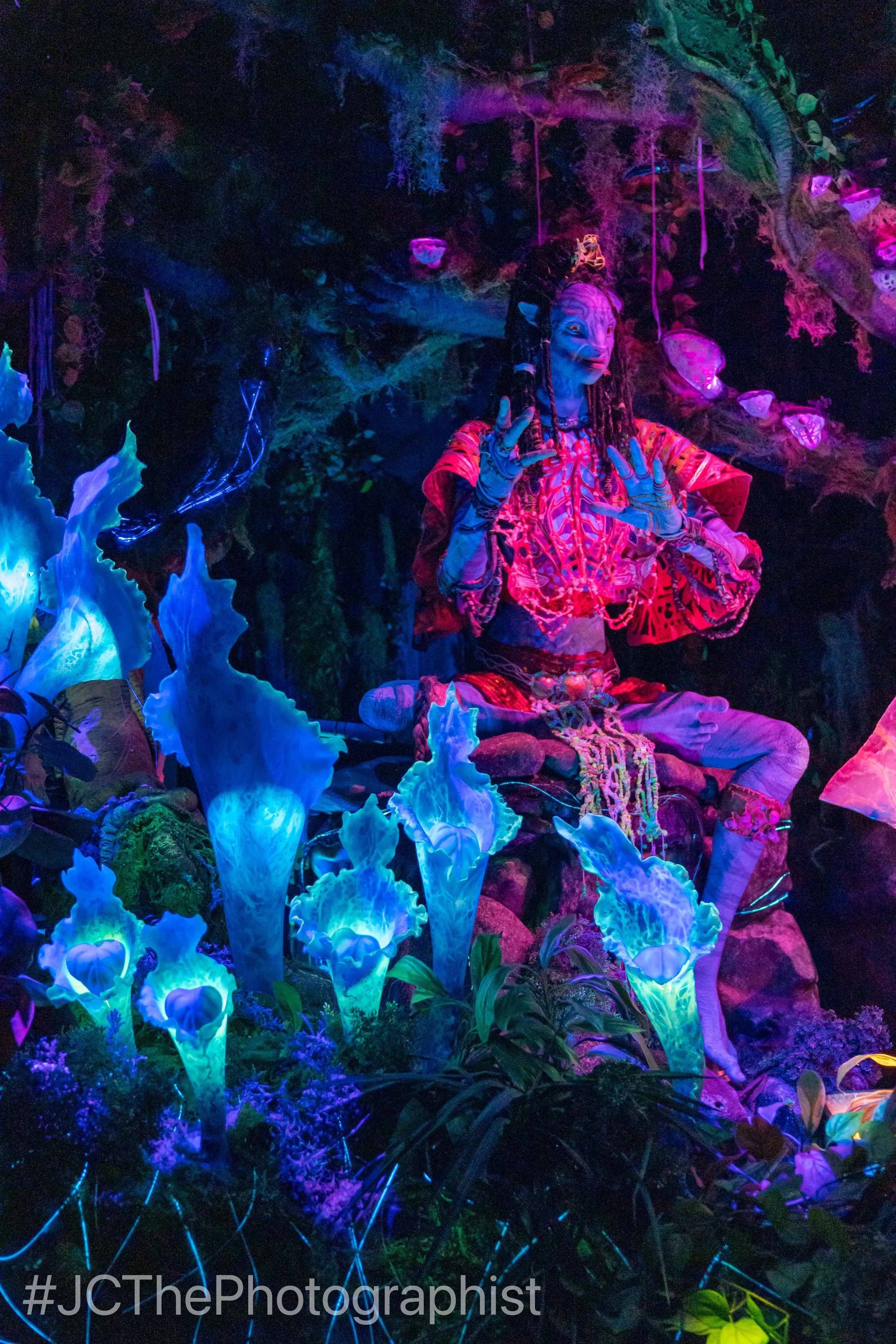 Animal Kingdom-122.jpg
