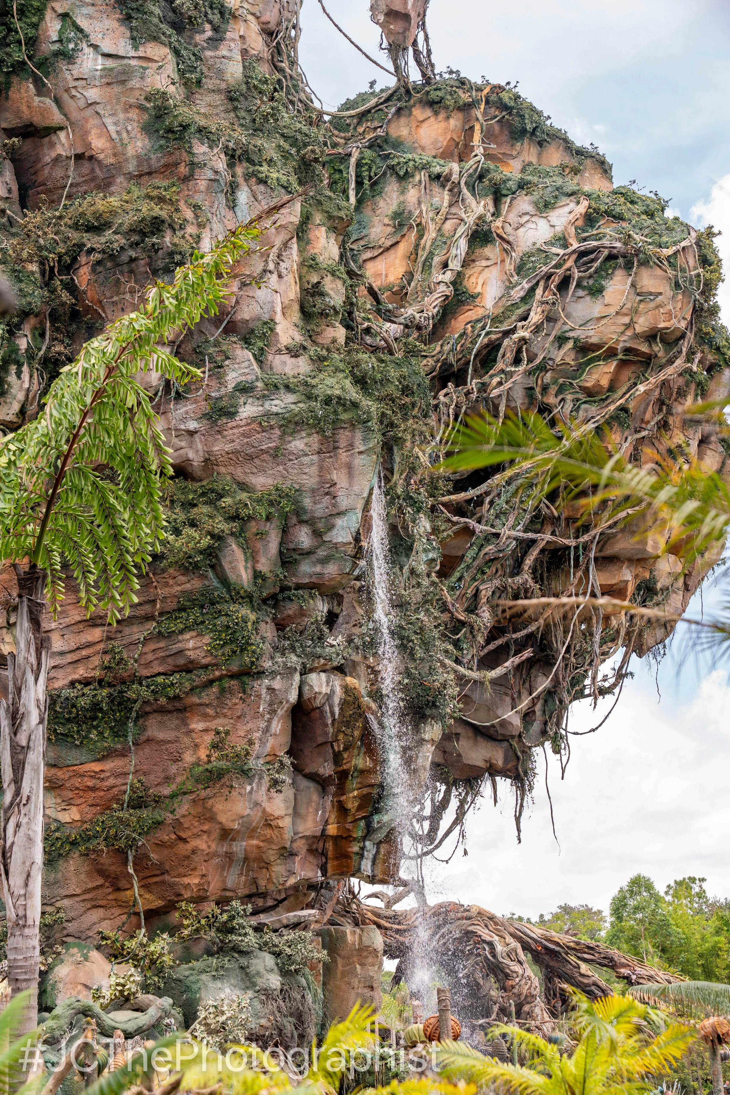 Animal Kingdom-107.jpg