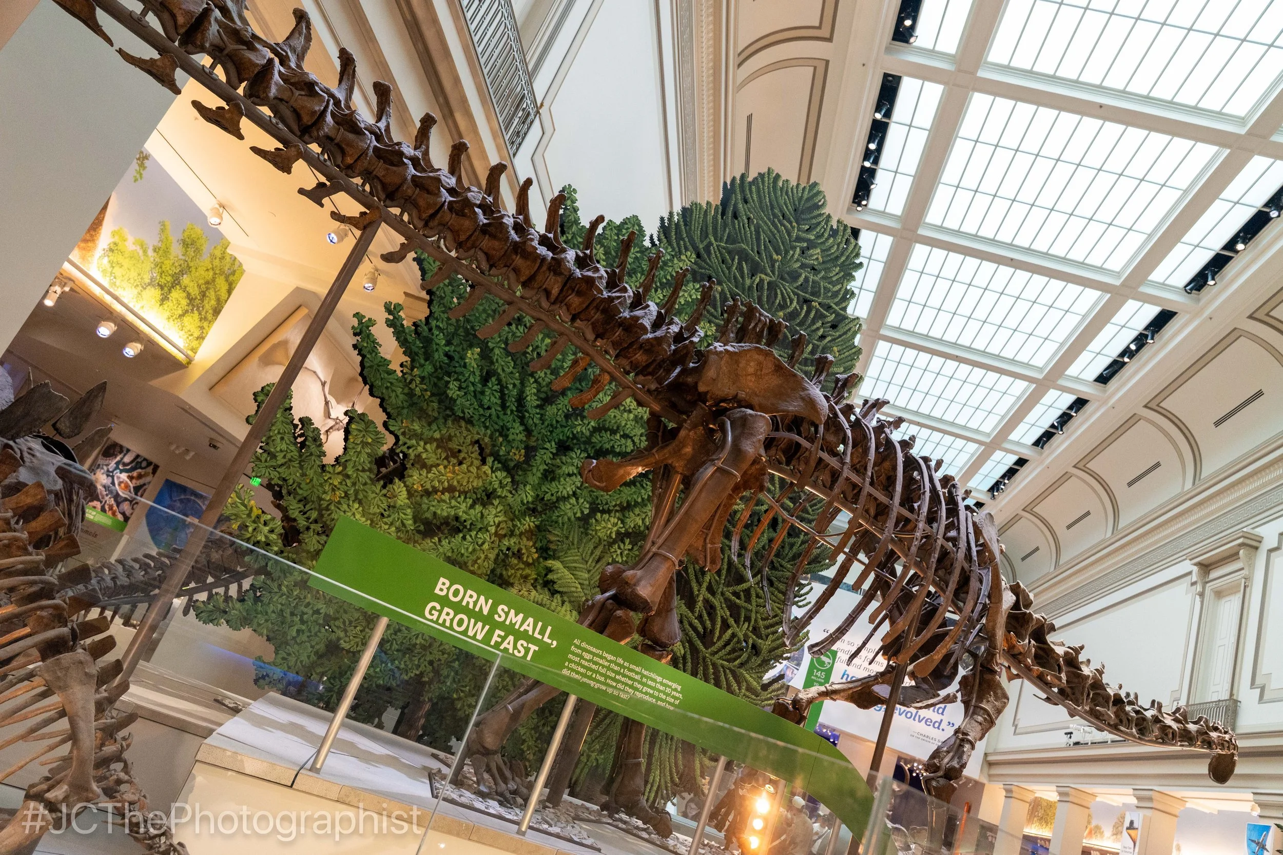 Washington DC-156.jpg