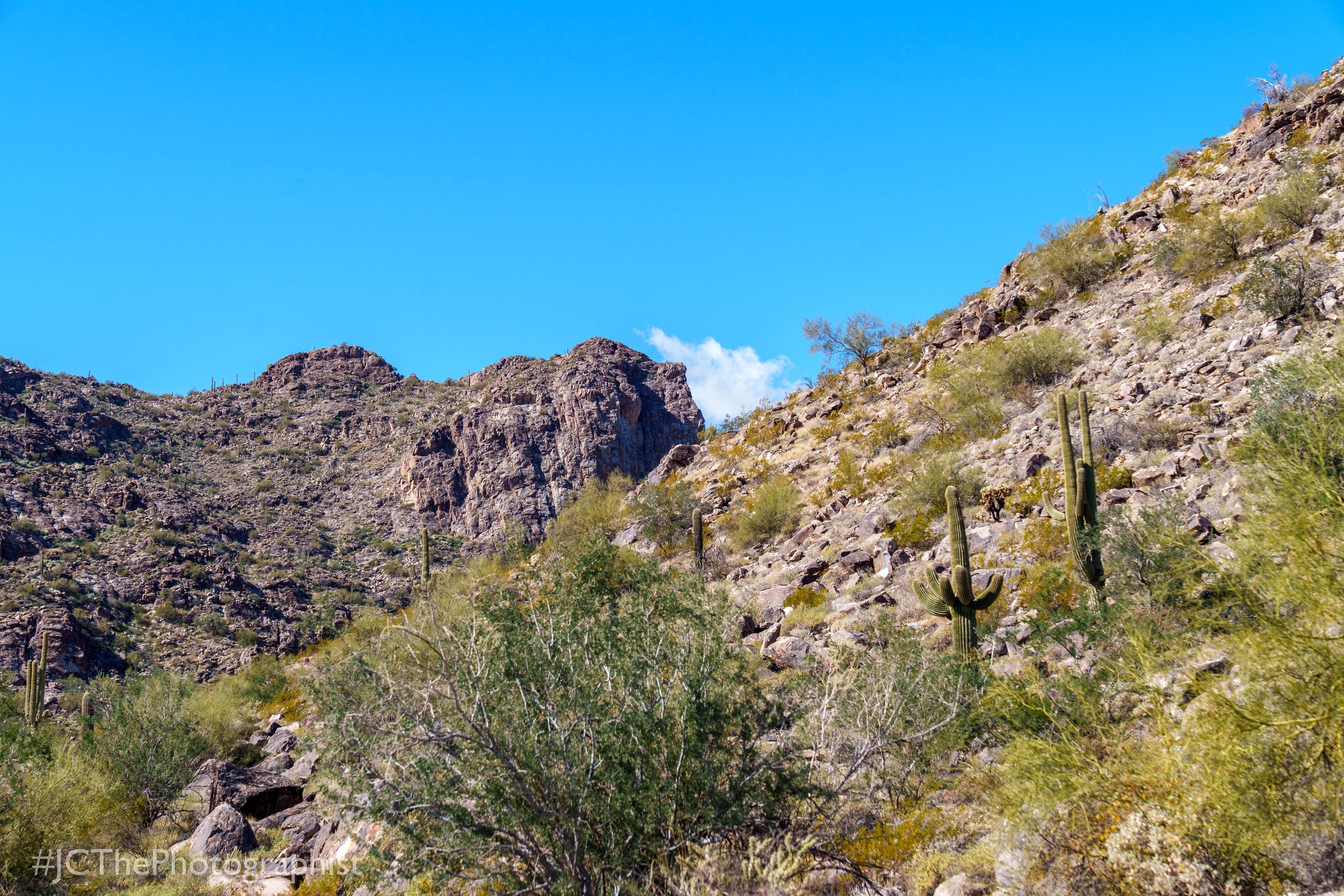 White Tanks Hike-102.jpg