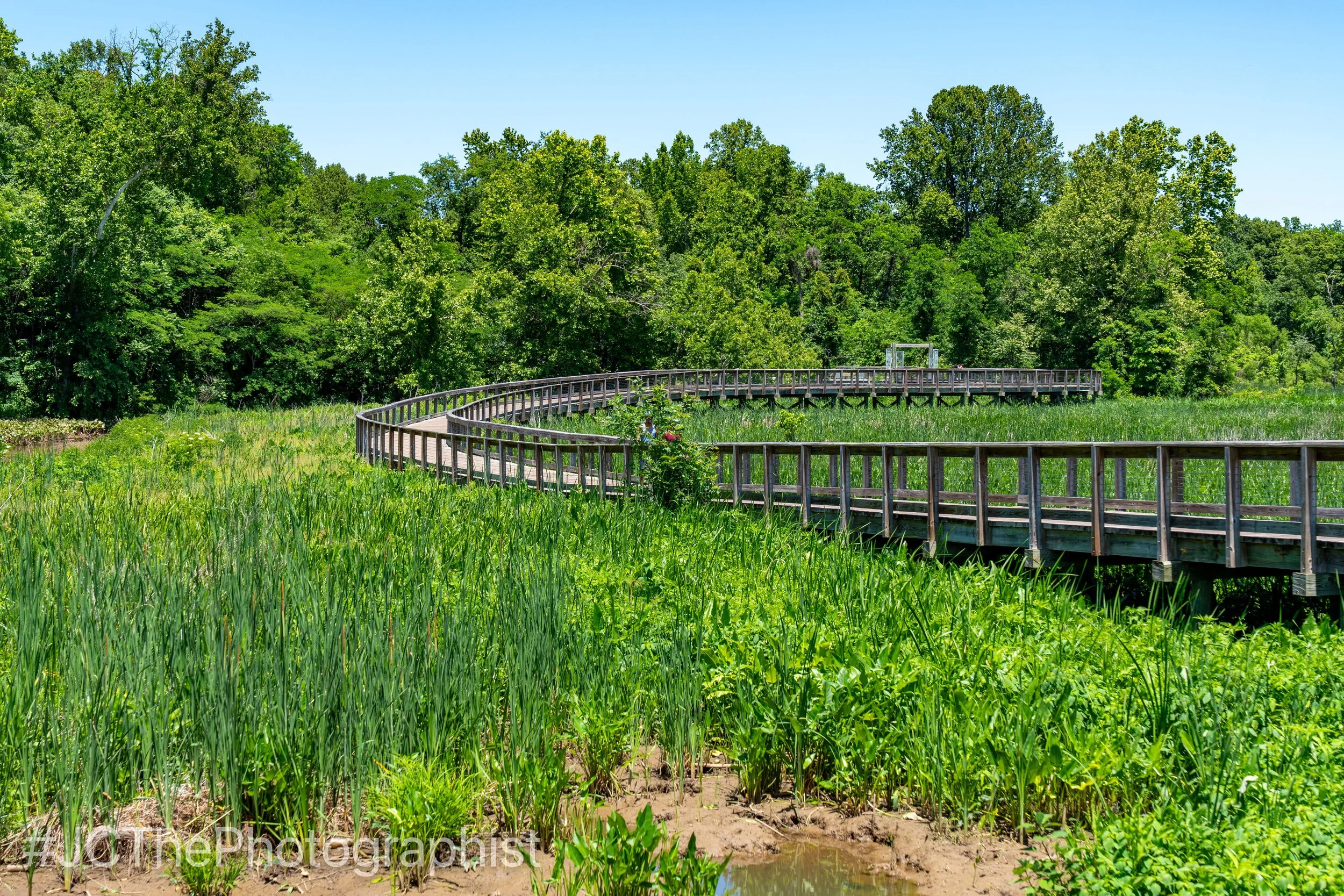 Neabsco Boardwalk-116.jpg