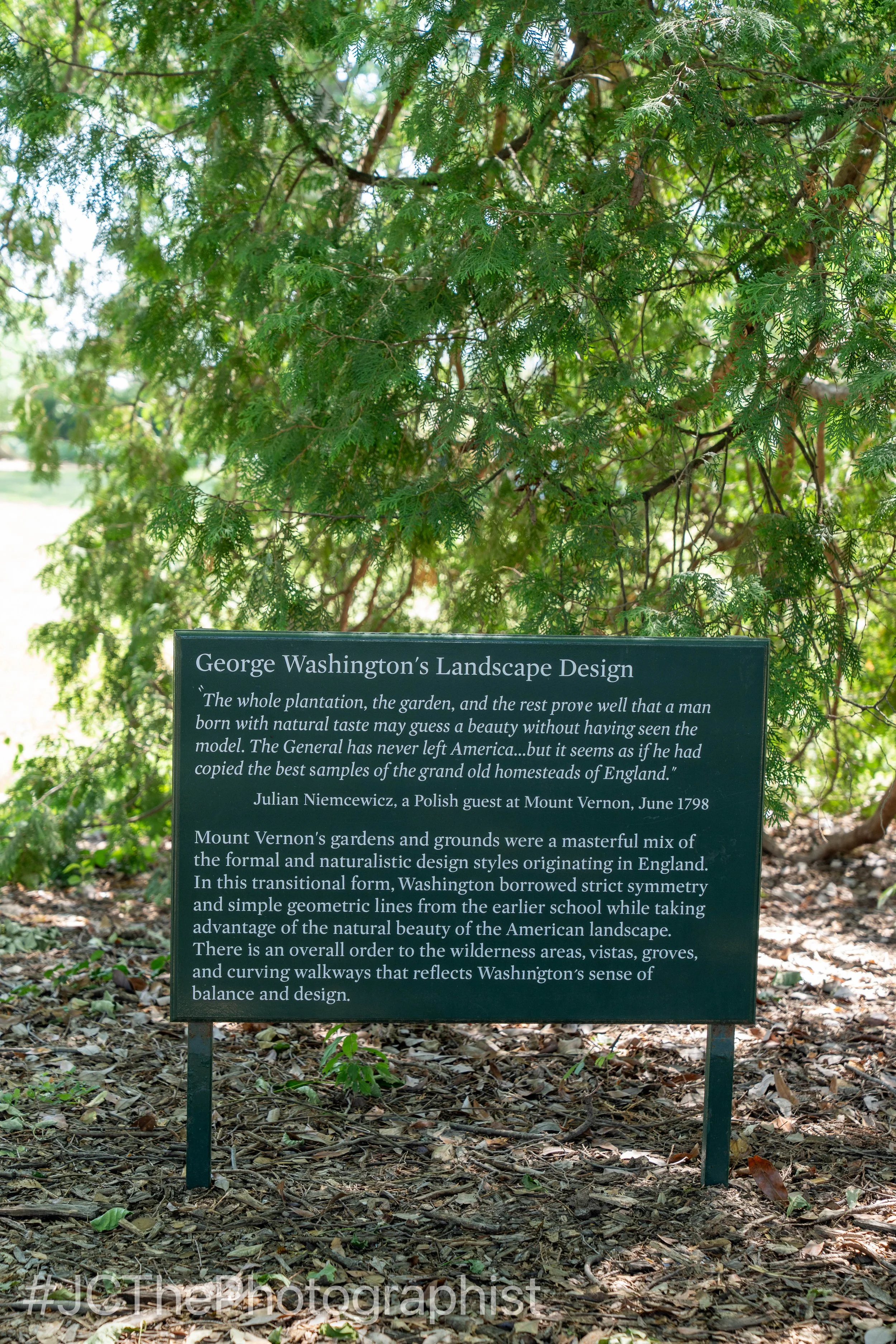 Mount Vernon-133.jpg