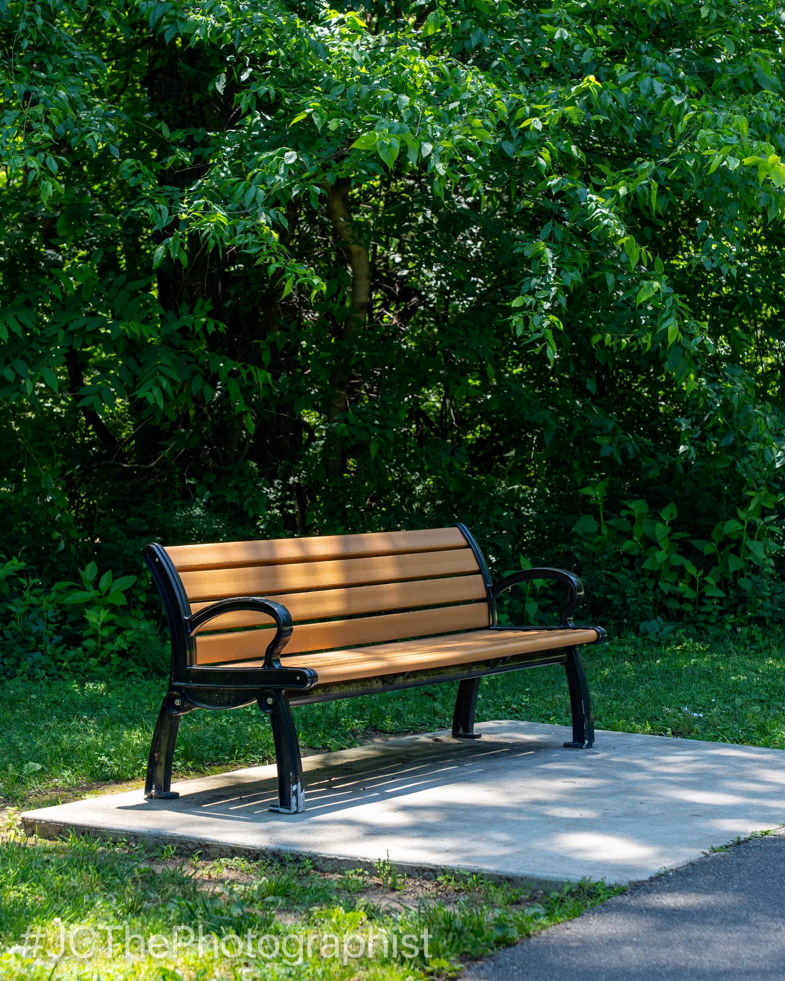 Neabsco Boardwalk-101.jpg