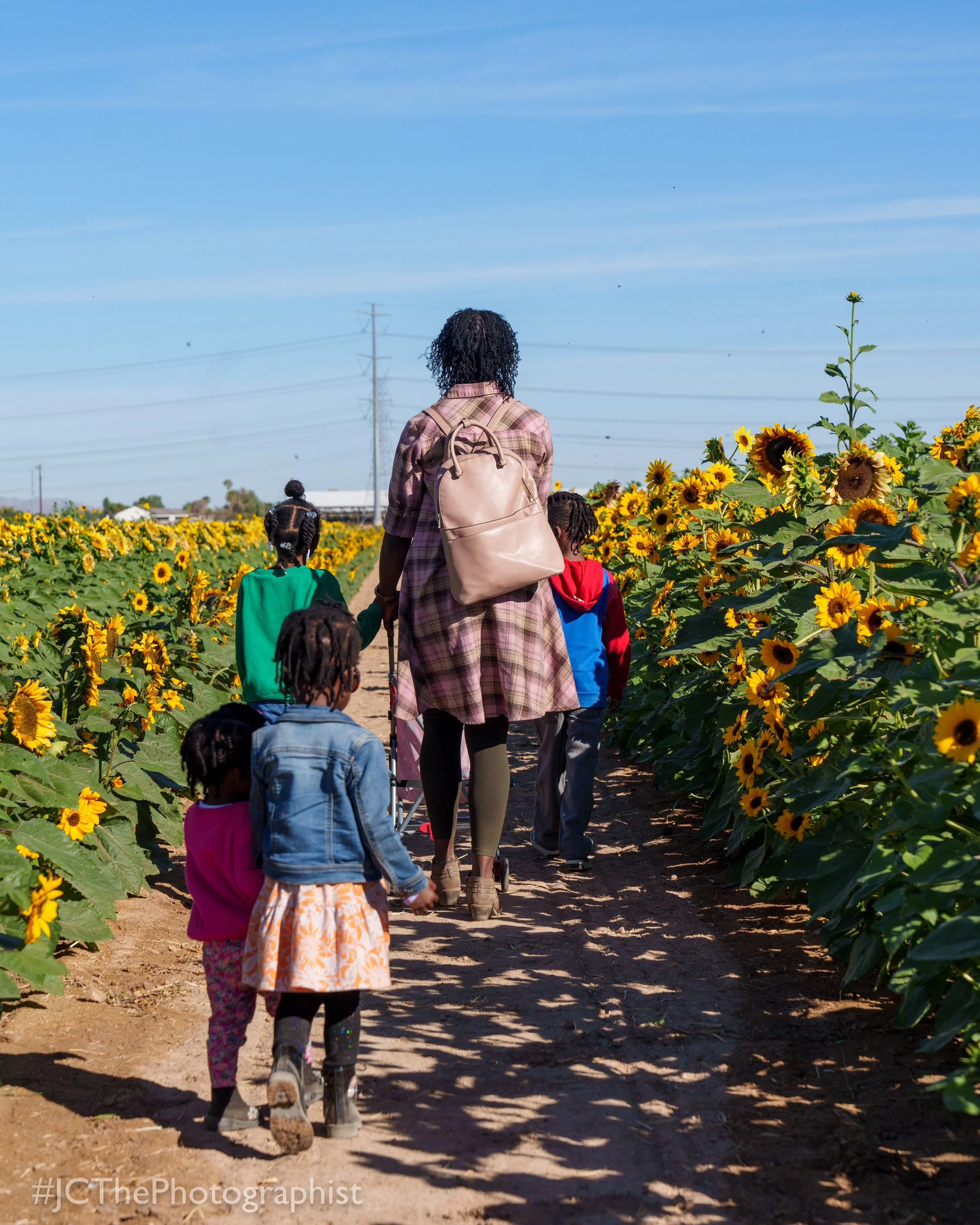 Sunflower Farm-115.jpg