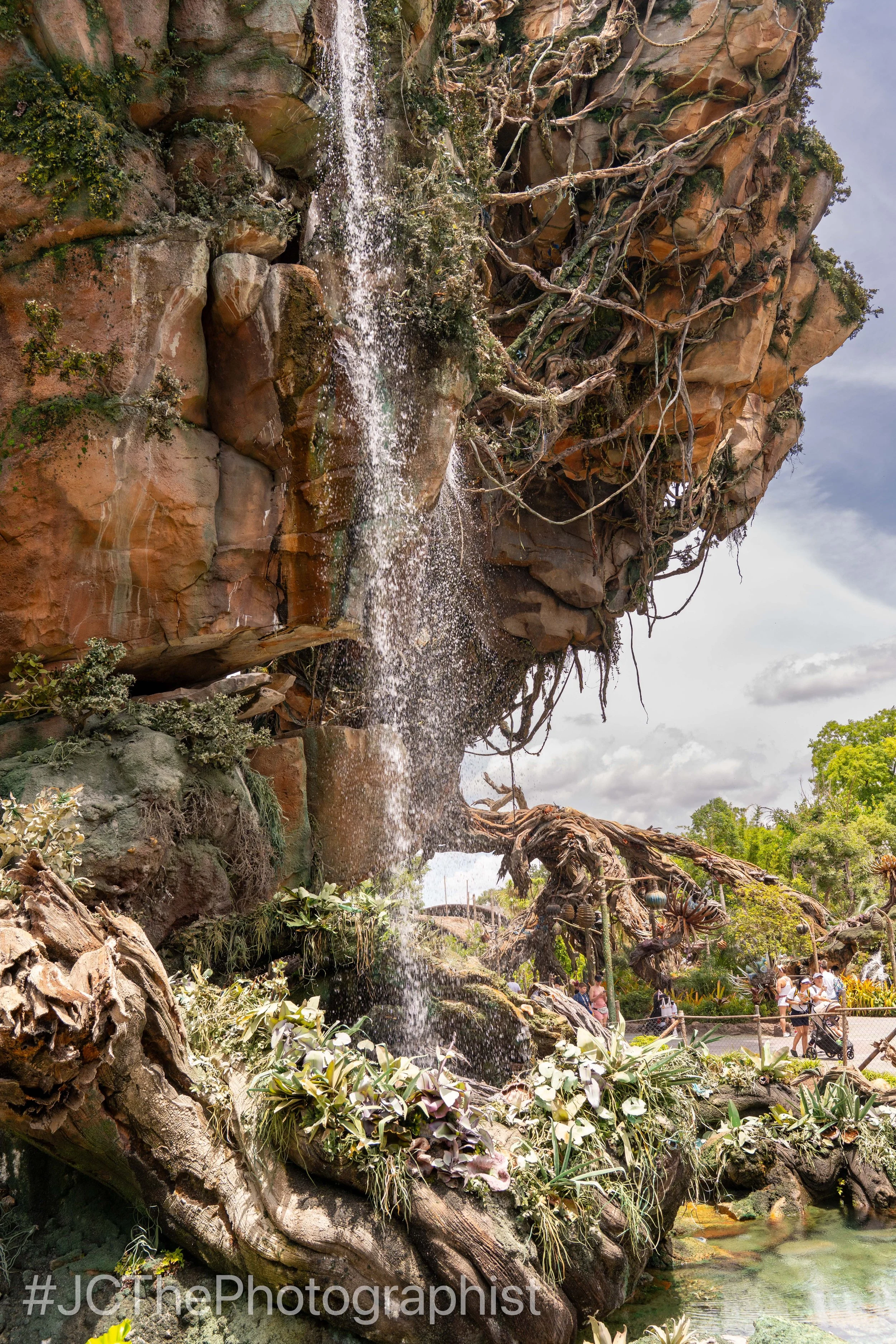 Animal Kingdom-126.jpg