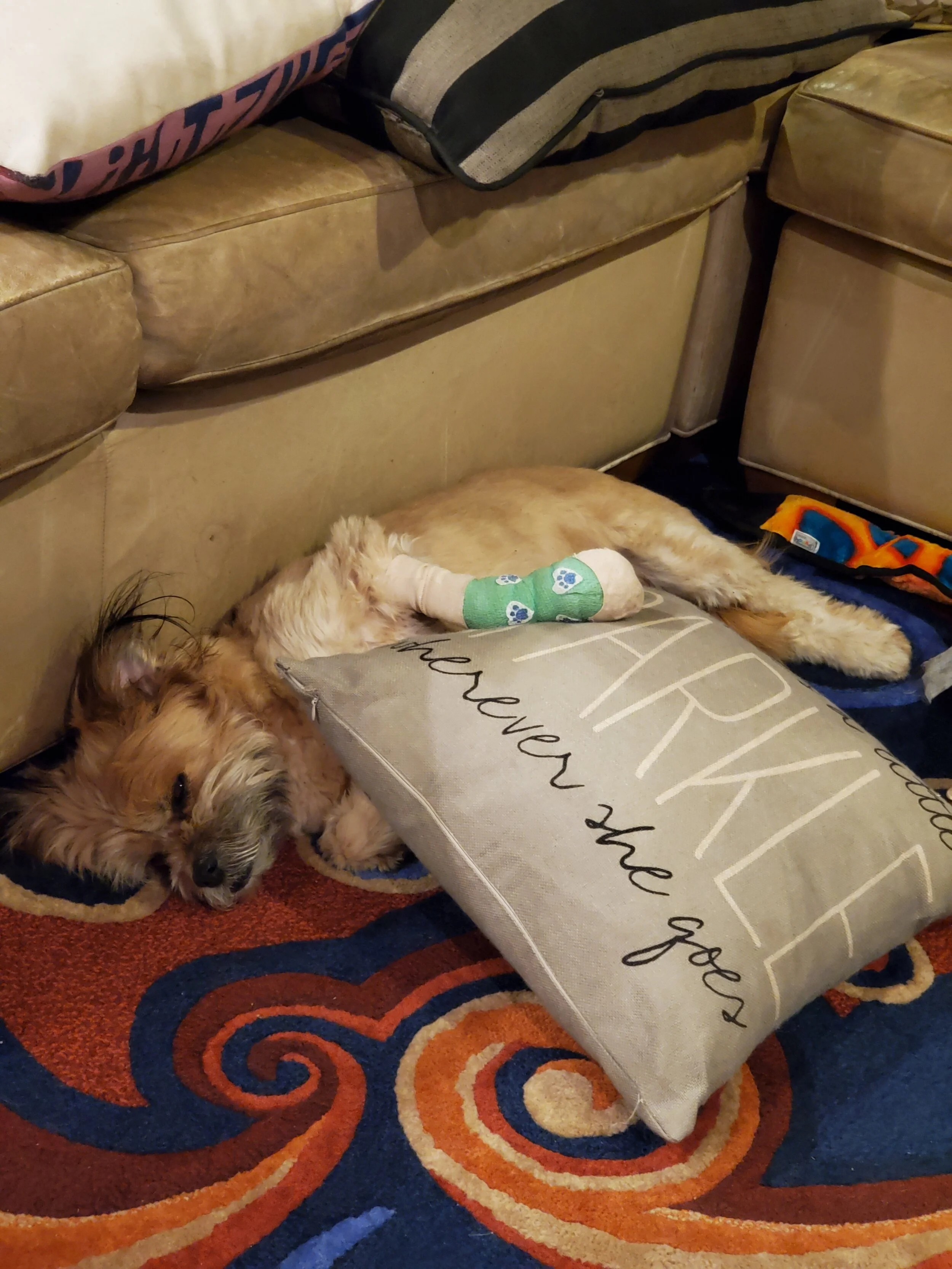 I’d Like to Thank the Universe…..