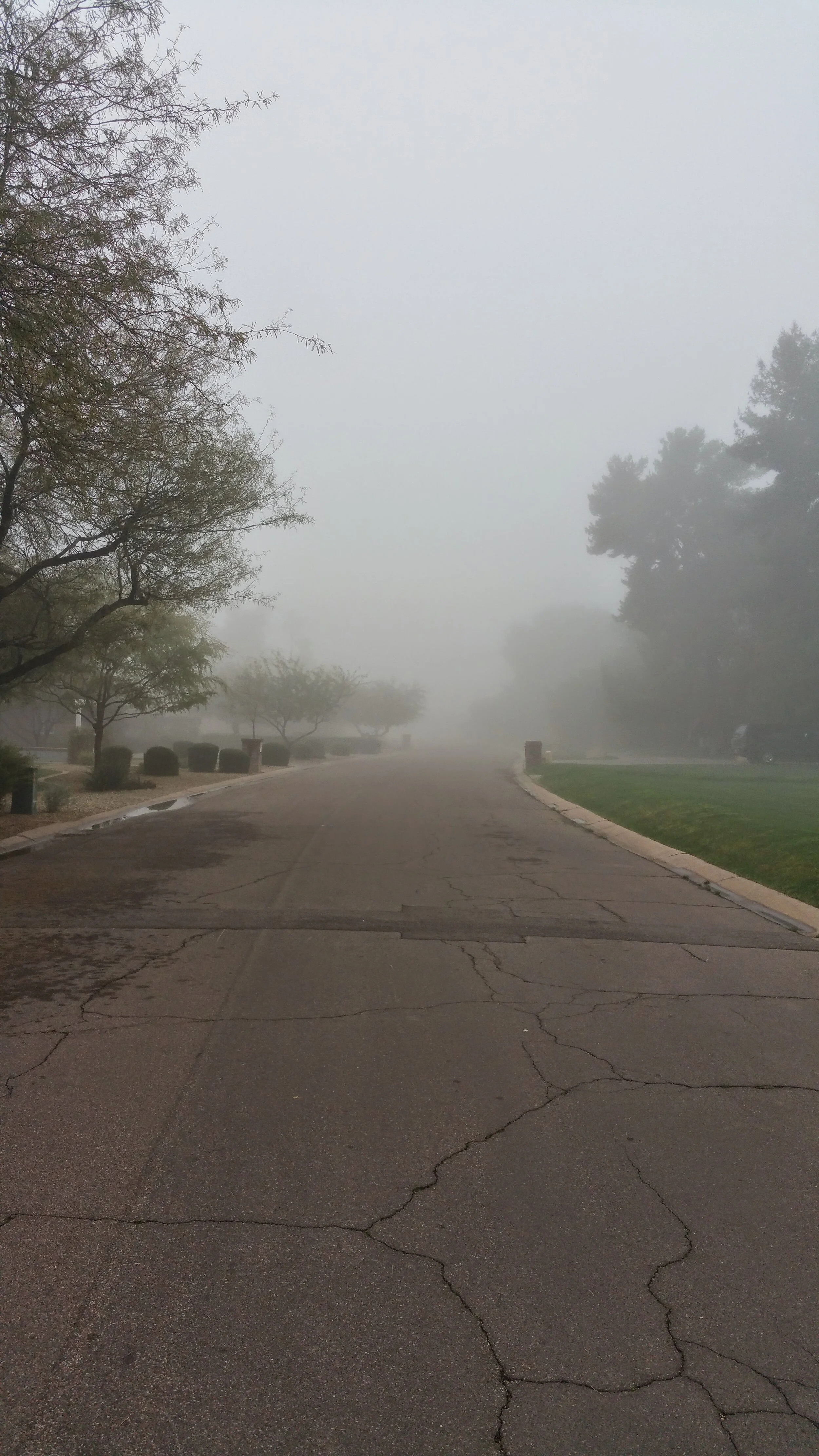 On the Street Where You Live