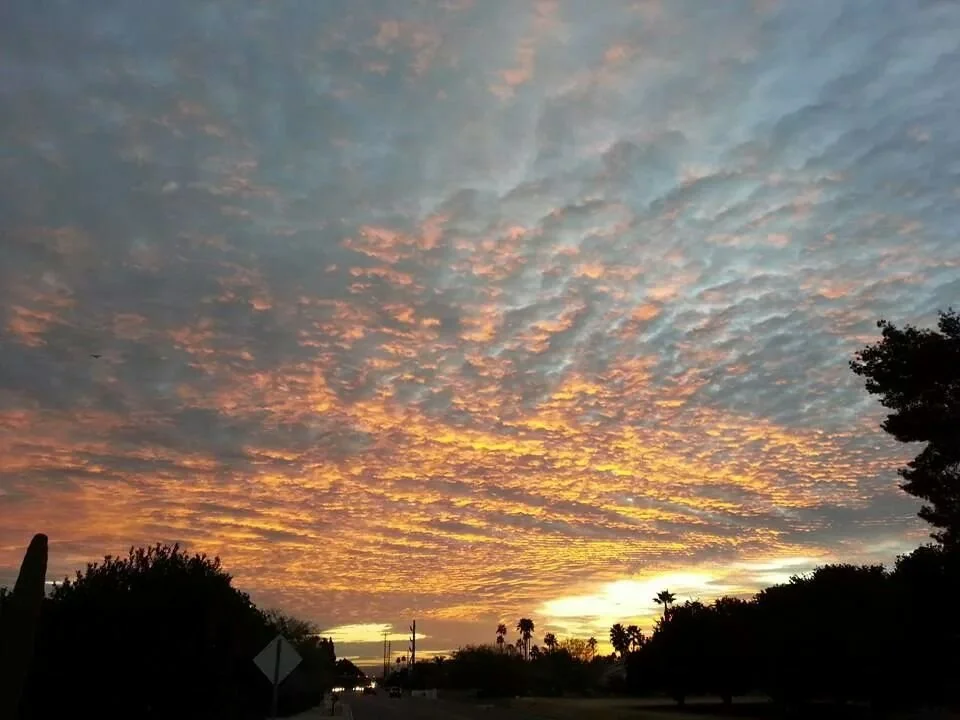 This Is Dedicated ……