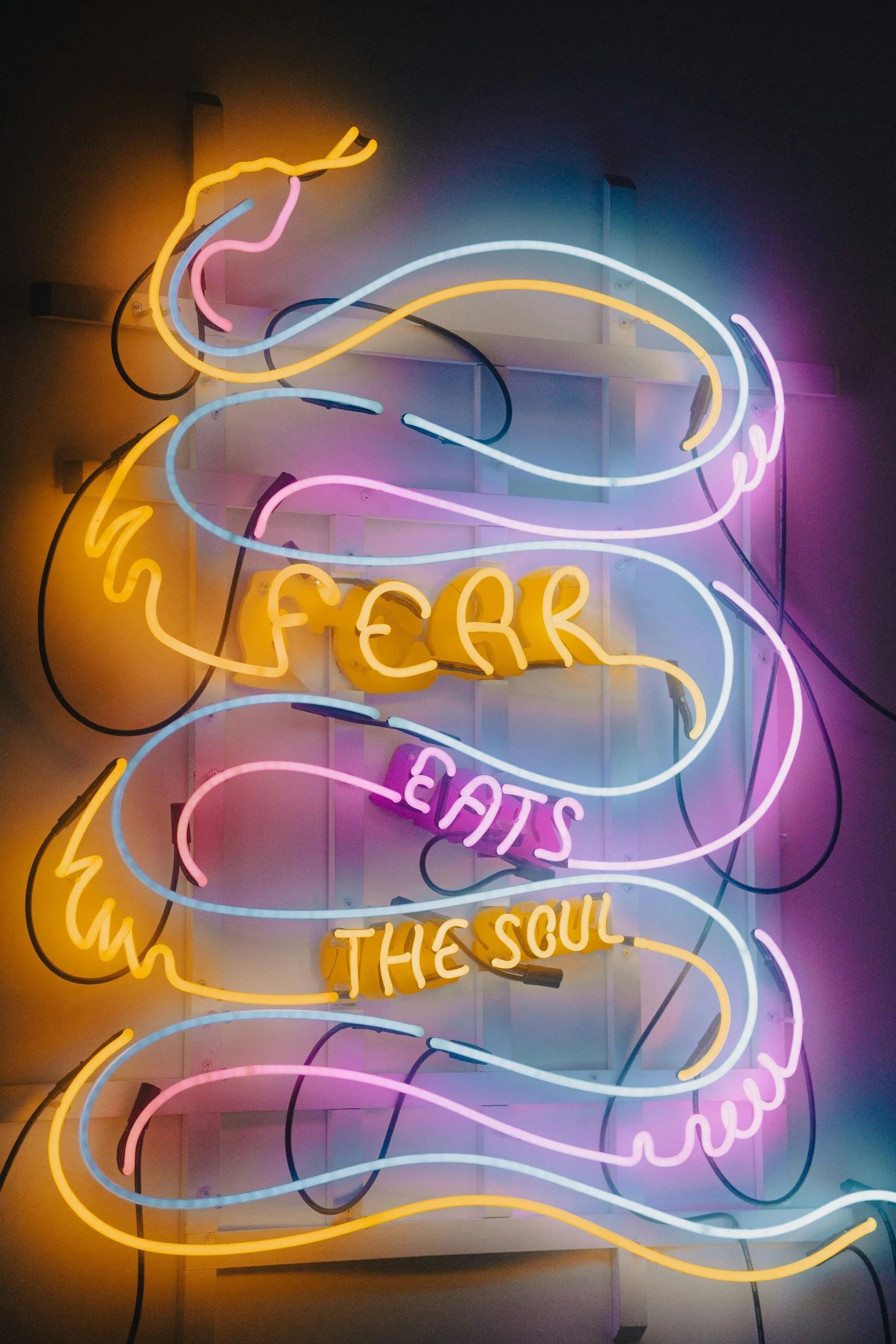 Nothing to Fear but Fear Itself