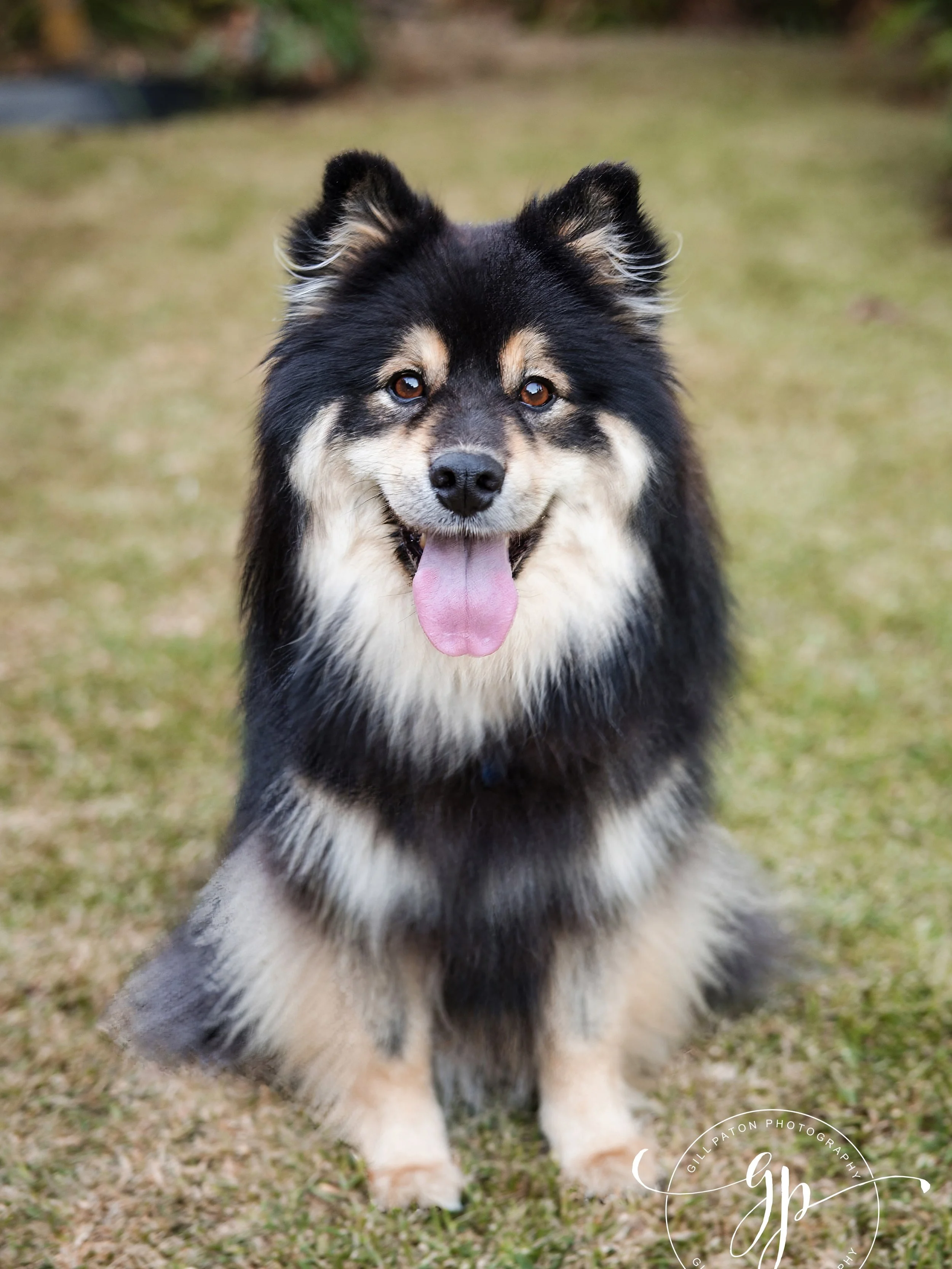 🐾 Happy International Dog Day! 🐾
Because let&rsquo;s be honest&hellip; our dogs aren&rsquo;t just pets. They&rsquo;re family &amp; they deserve to be in the family photos too. 🐶📸